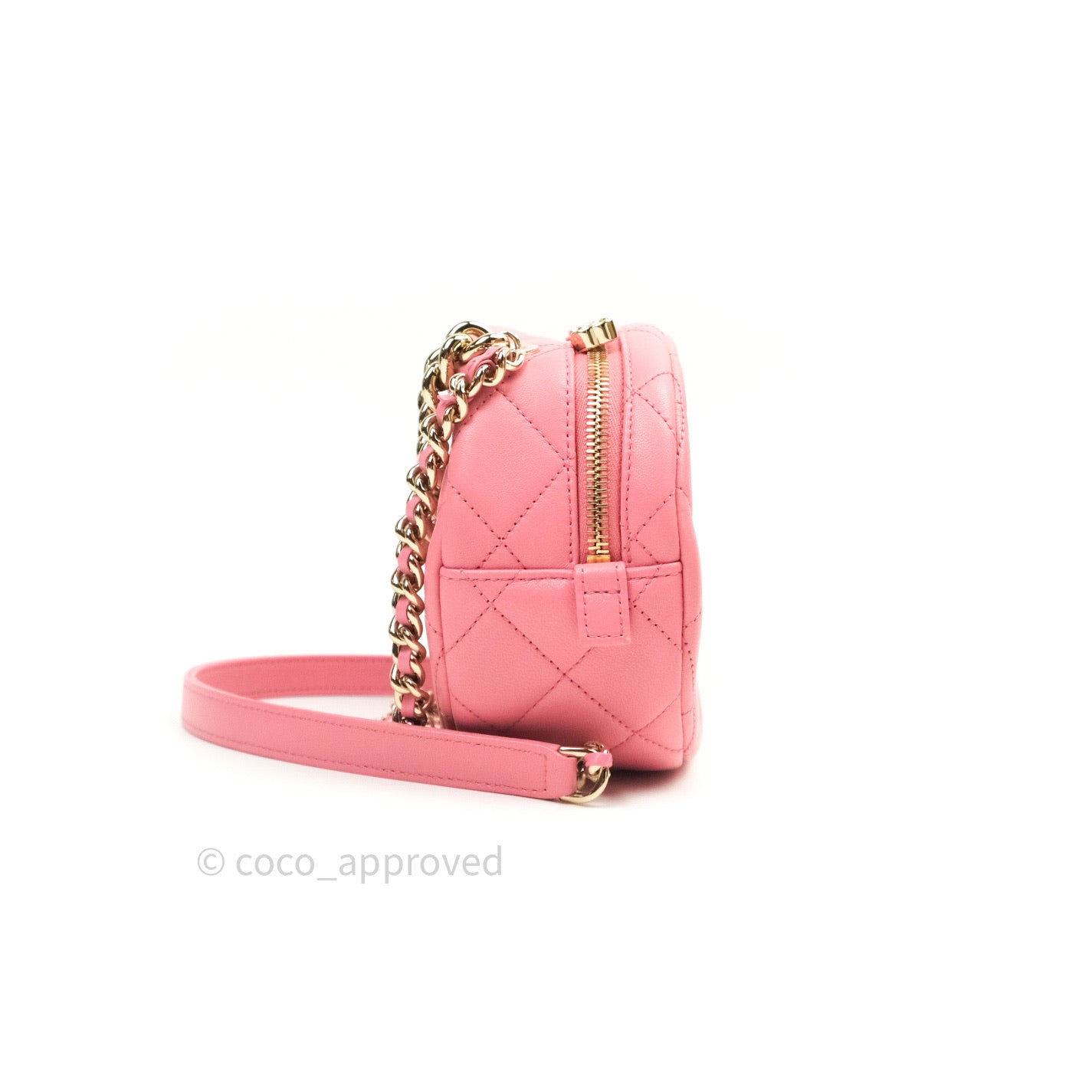 Chanel Quilted Camera Bag in Pink Lambskin with Gold Hardware - Luxury Crossbody Purse for Women, Perfect for Date Night & Special Occasions