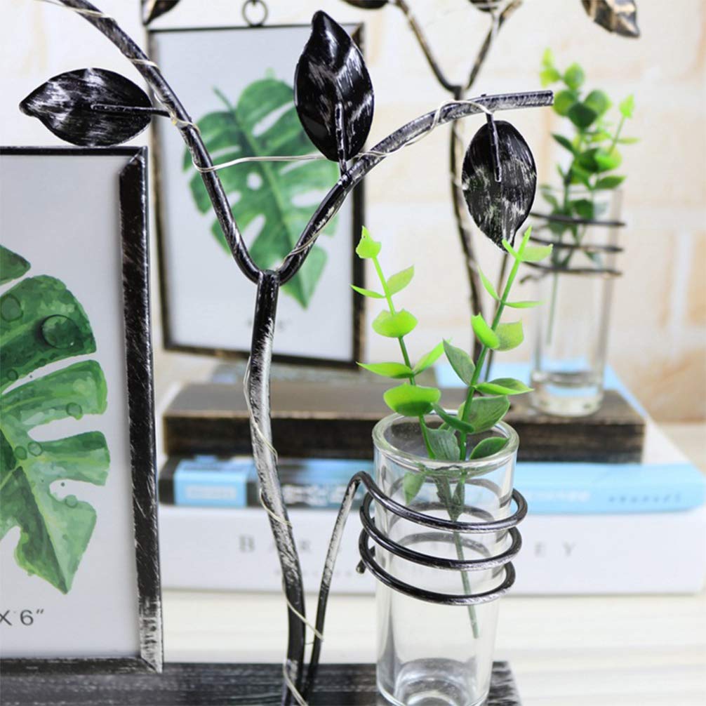 EXCEART Glass Tube Vase - Decorative Terrarium for Plants, Flowers & Photos | Bulb Tube Flower Pot with Picture Frame | Home & Office Decor for Living Room, Wedding Centerpiece, Gift Idea