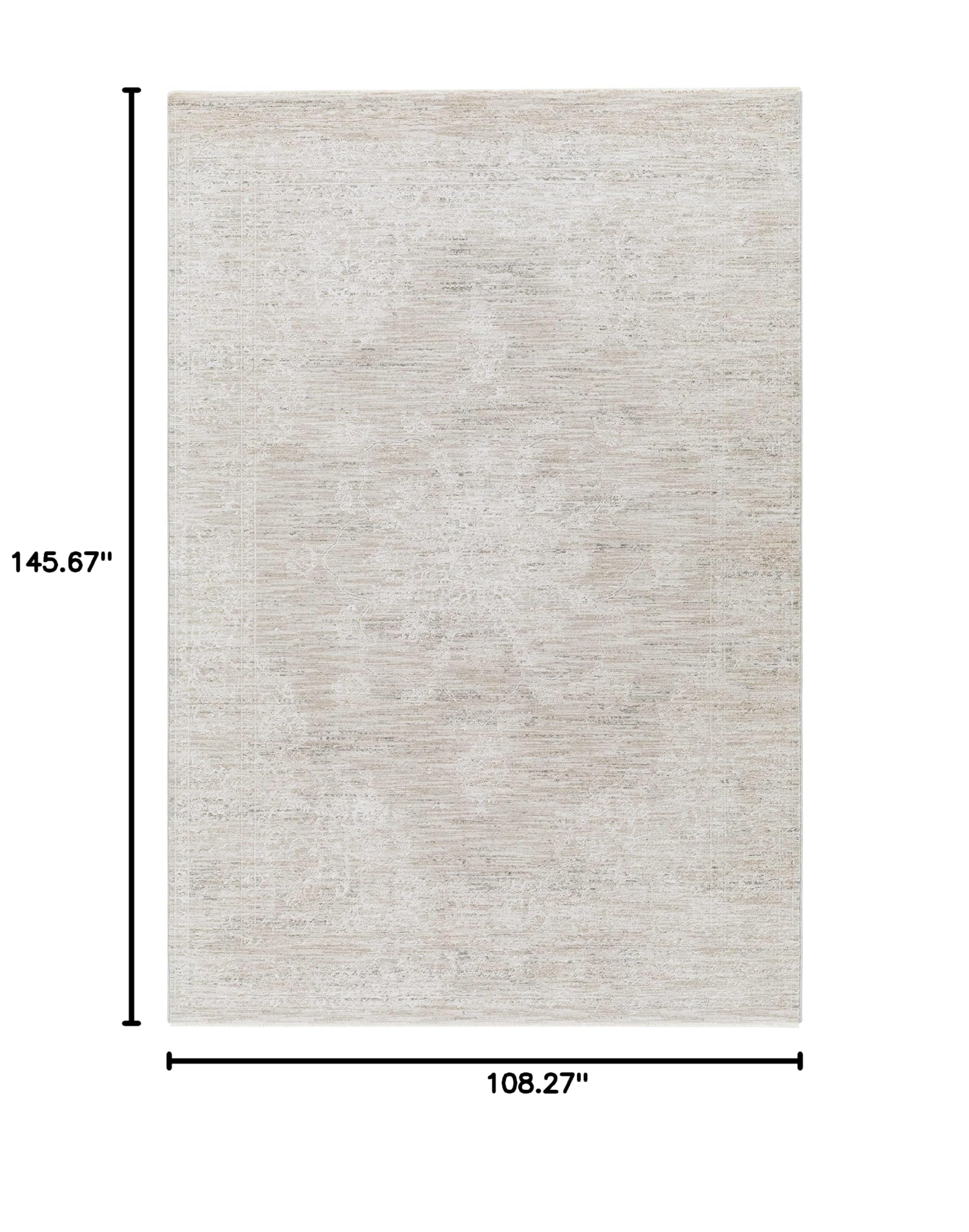 Hauteloom Monto Traditional Gray Beige Area Rug 9' x 12'2