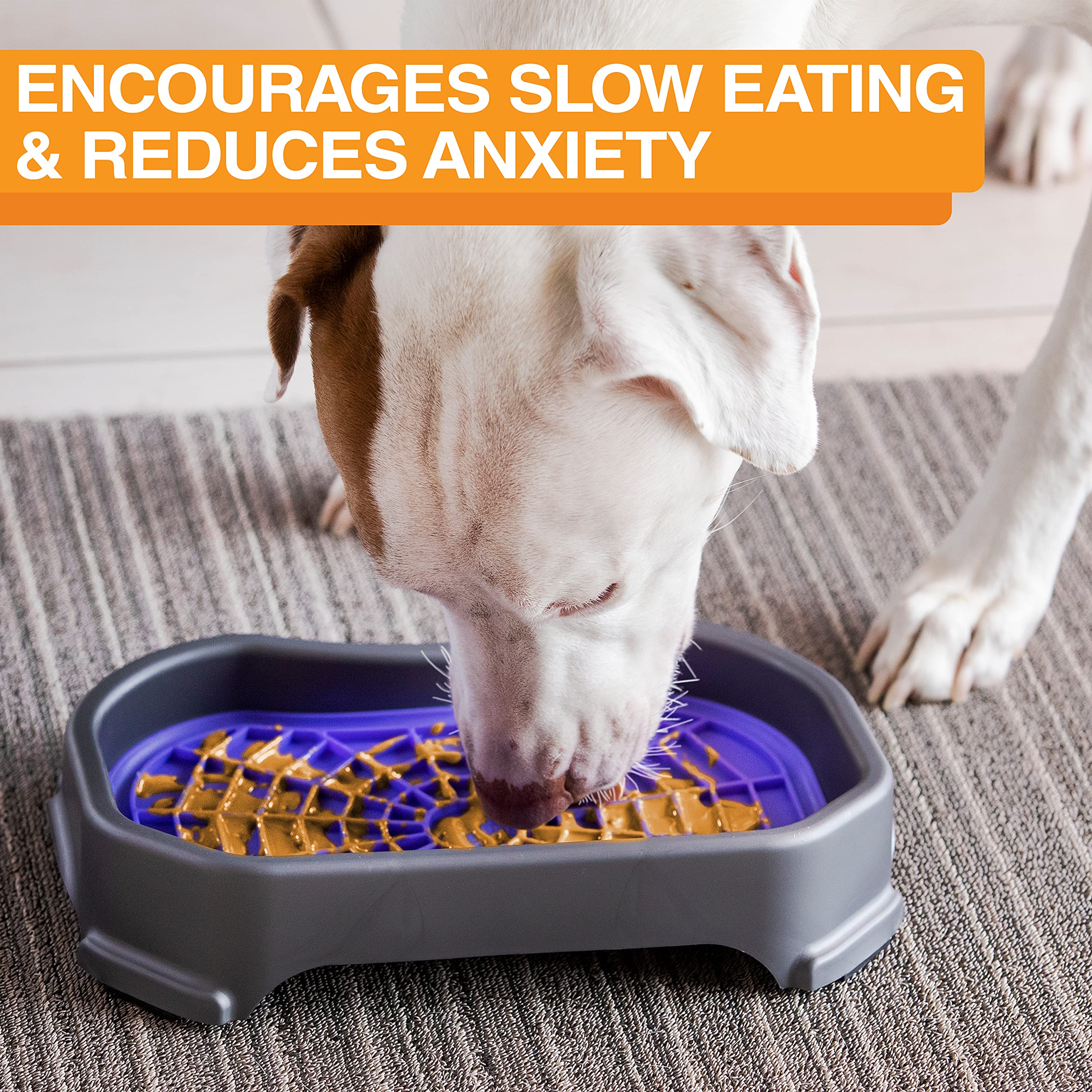 Neater Pet Brands Neat-LIK Mess-Proof Pet Feeding Tray - Spill-Proof Dog & Cat Bowl with Non-Slip Base for Clean Floors - Perfect for Messy Eaters & Multi-Pet Homes