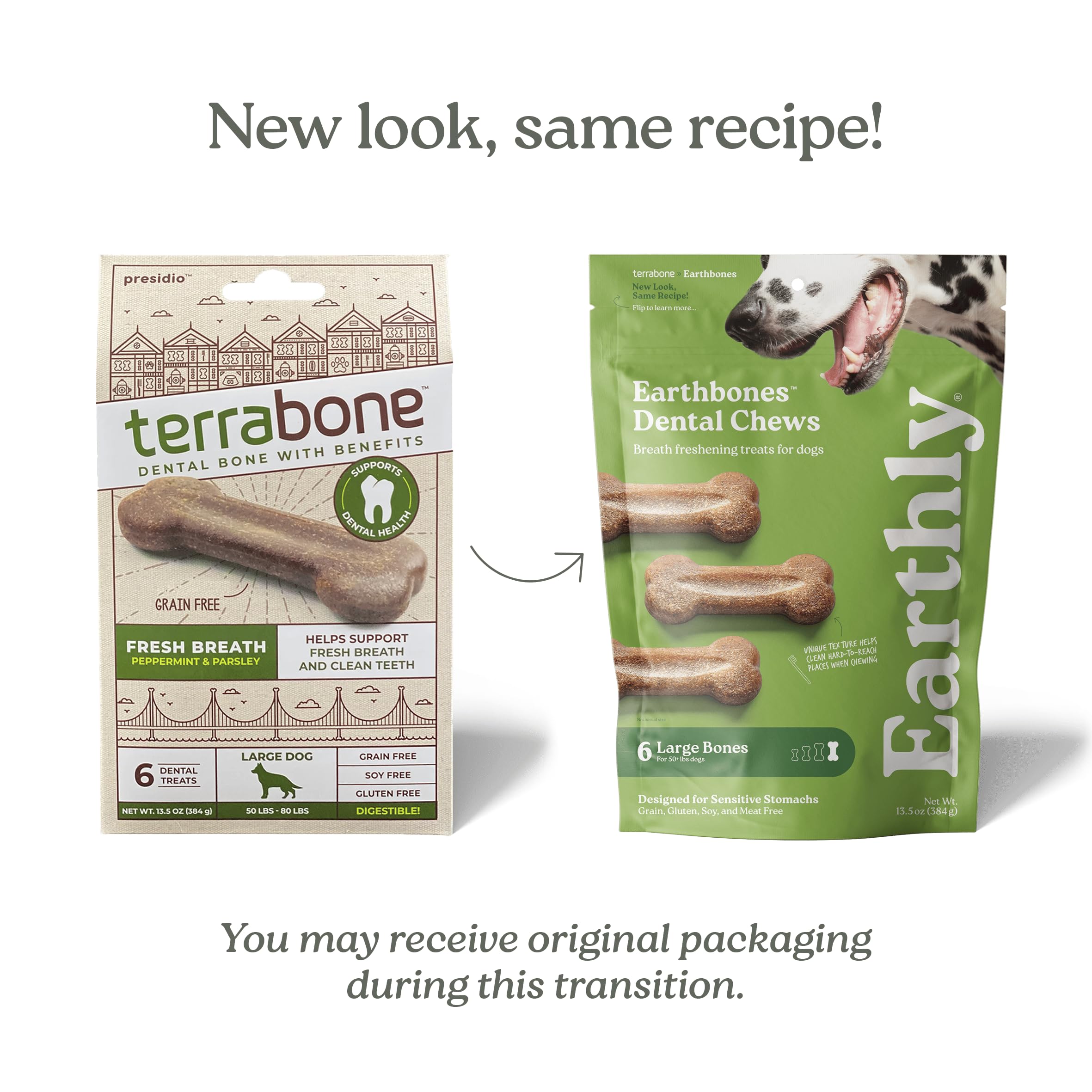 Presidio Earthbones (Formerly Terrabones) Dental Chews for Dogs - Natural Teeth Cleaning Treats for Large Breeds, 6 Count - Promotes Oral Health & Fresh Breath for Daily Dental Care