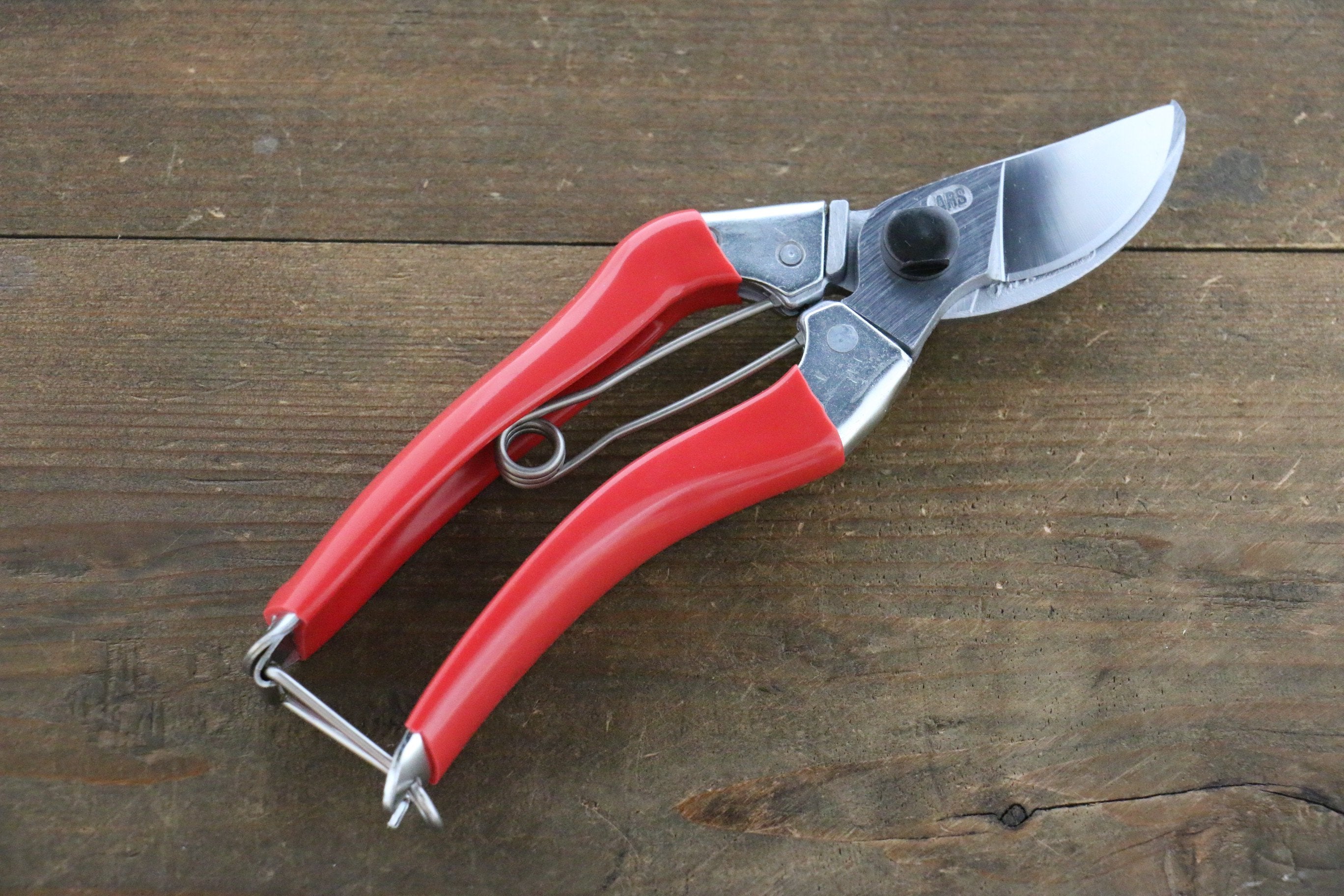 ARS 120S Professional Pruning Shears - Sharp Bypass Garden Clippers for Precise Trimming of Plants, Flowers, and Small Branches - Ideal for Gardening, Landscaping, and Horticulture Work