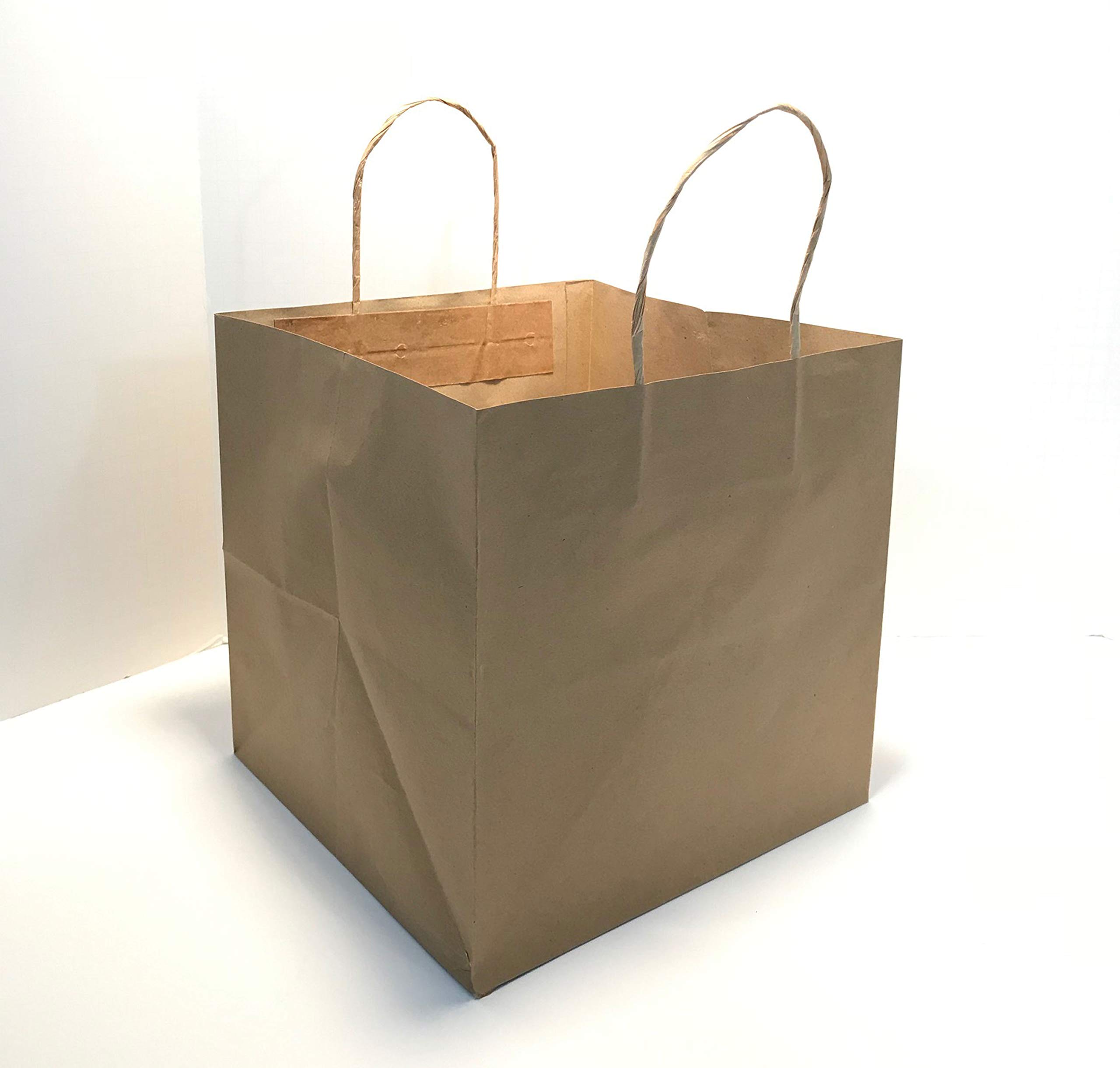 ZT Packaging 10x9.85x10 Inch Wide Gusset Recycled Kraft Paper Takeout Bags - 250PCS Eco-Friendly Food Service Bags with Twisted Paper Handles for 9
