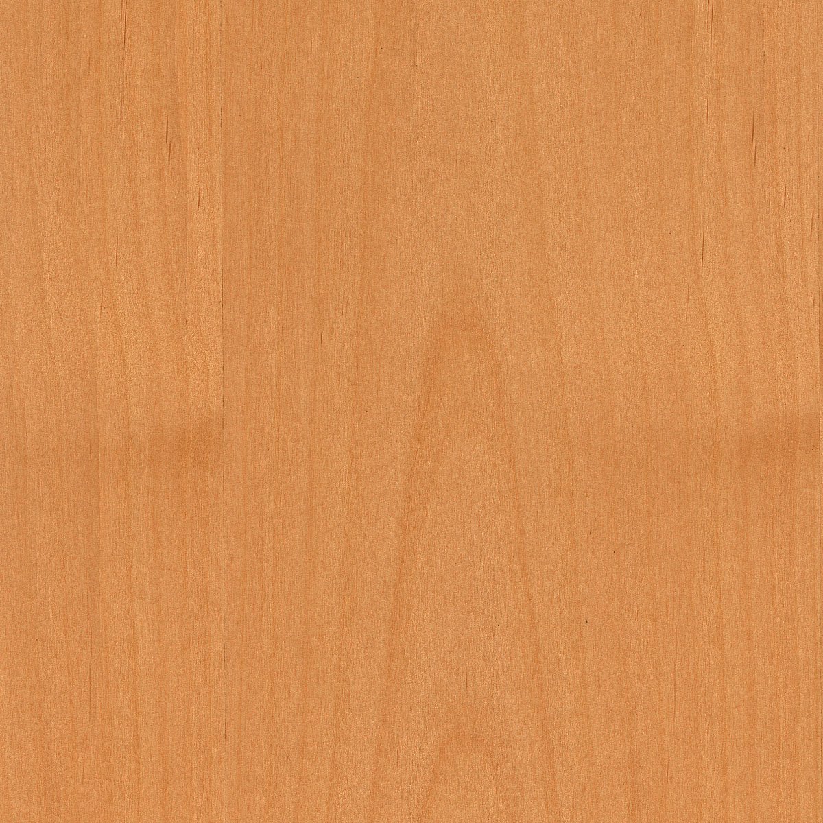 Premium Alder Clear Wood Veneer Sheet - 48x96 Inches, 