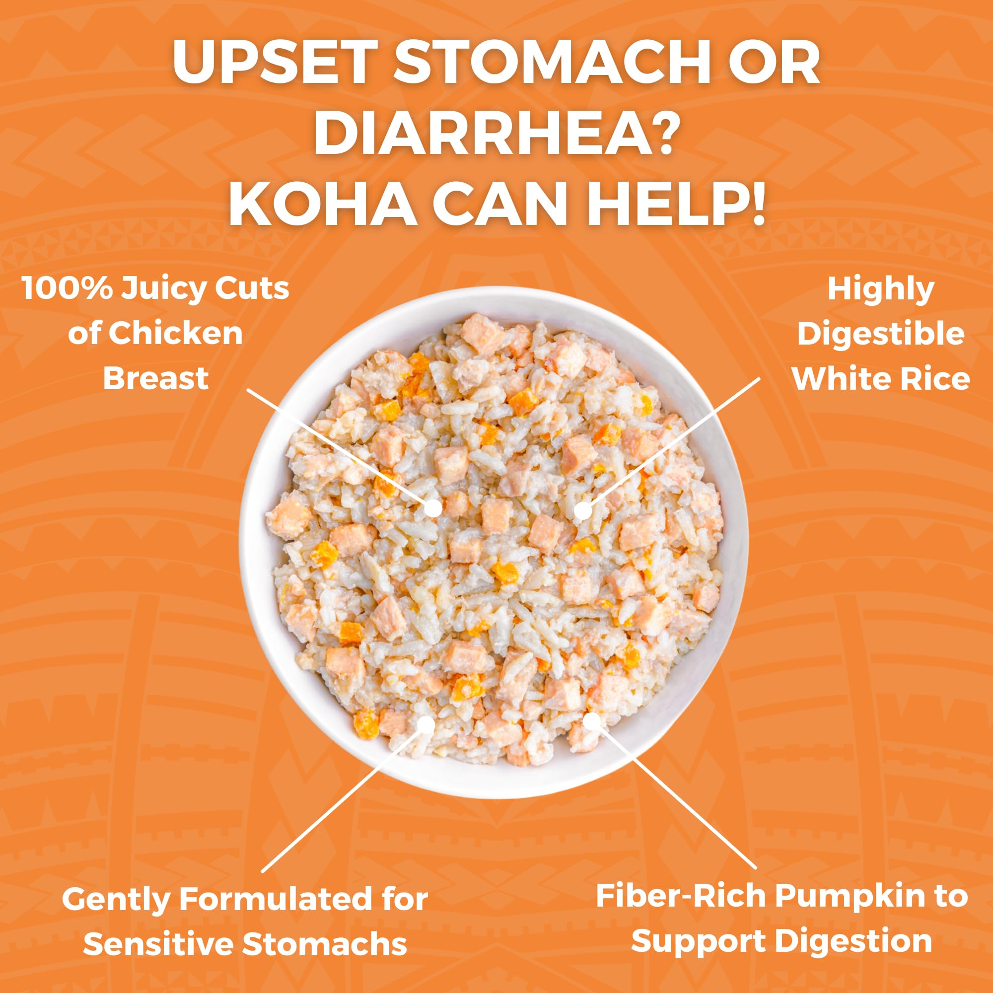 KOHA Limited Ingredient Bland Diet for Dogs - Chicken & White Rice Recipe Wet Dog Food for Sensitive Stomachs | Gentle, Easy-to-Digest Formula | 6-Pack | Perfect for Dogs with Food Allergies or Digestive Issues