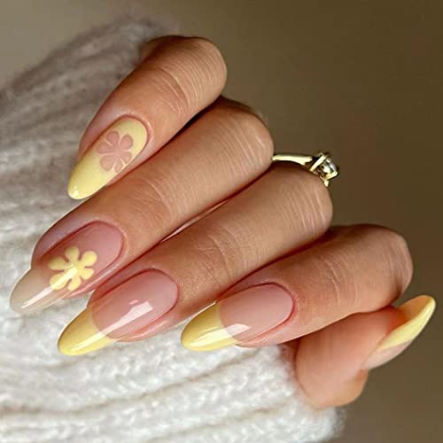 Yellow Daisy