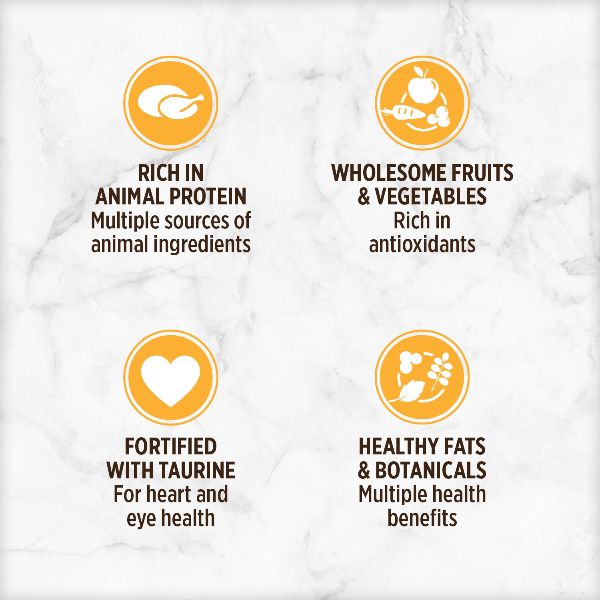 Nutrience Grain Free Turkey, Chicken & Liver Pate Canned Cat Food - High Protein Wet Cat Food for Adult & Senior Cats - Perfect for Picky Eaters & Digestive Health Support