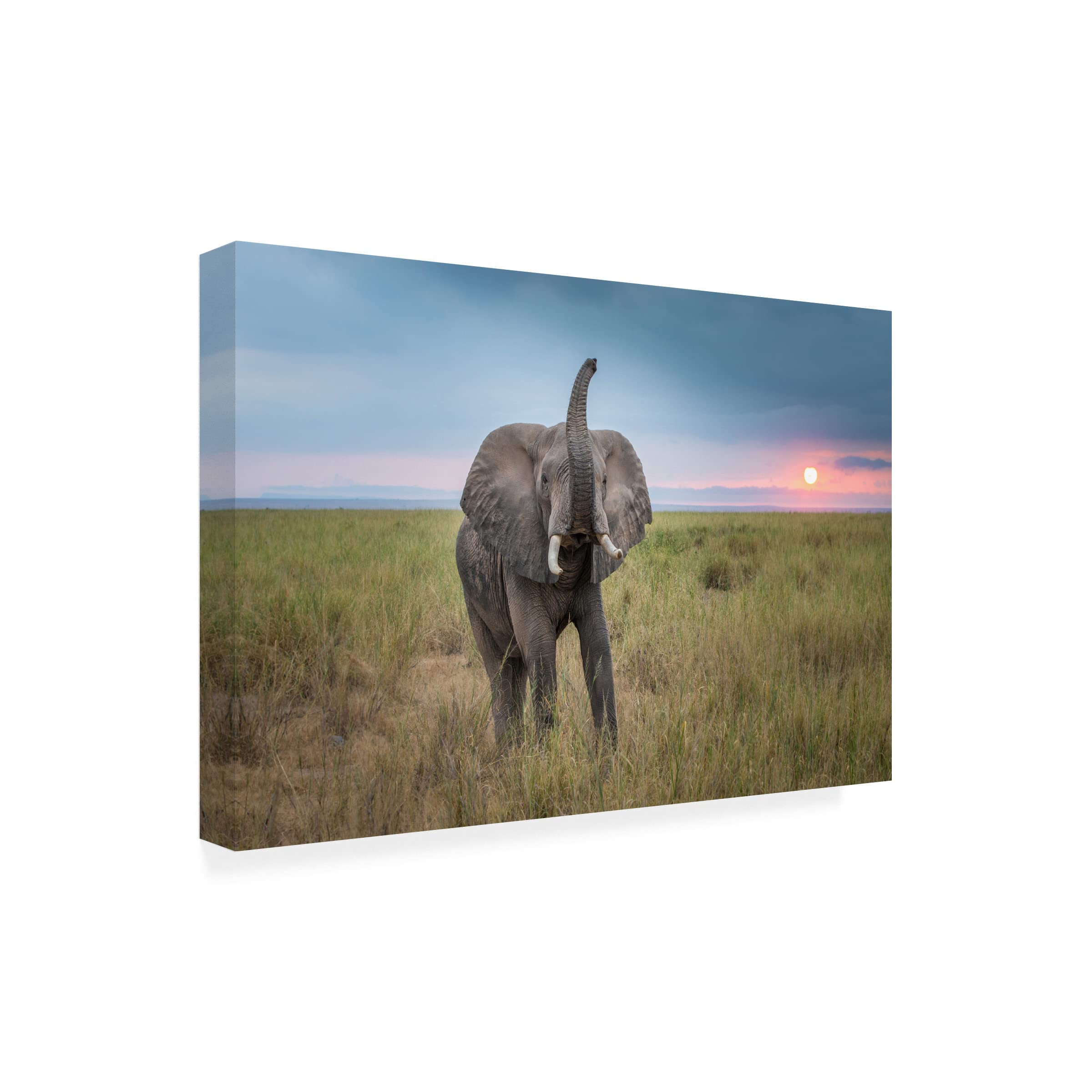 Trademark Fine Art 'King of the Domain' Canvas Wall Art by Jeffrey C. Sink - Modern Home Decor for Living Room, Office & Gaming Spaces
