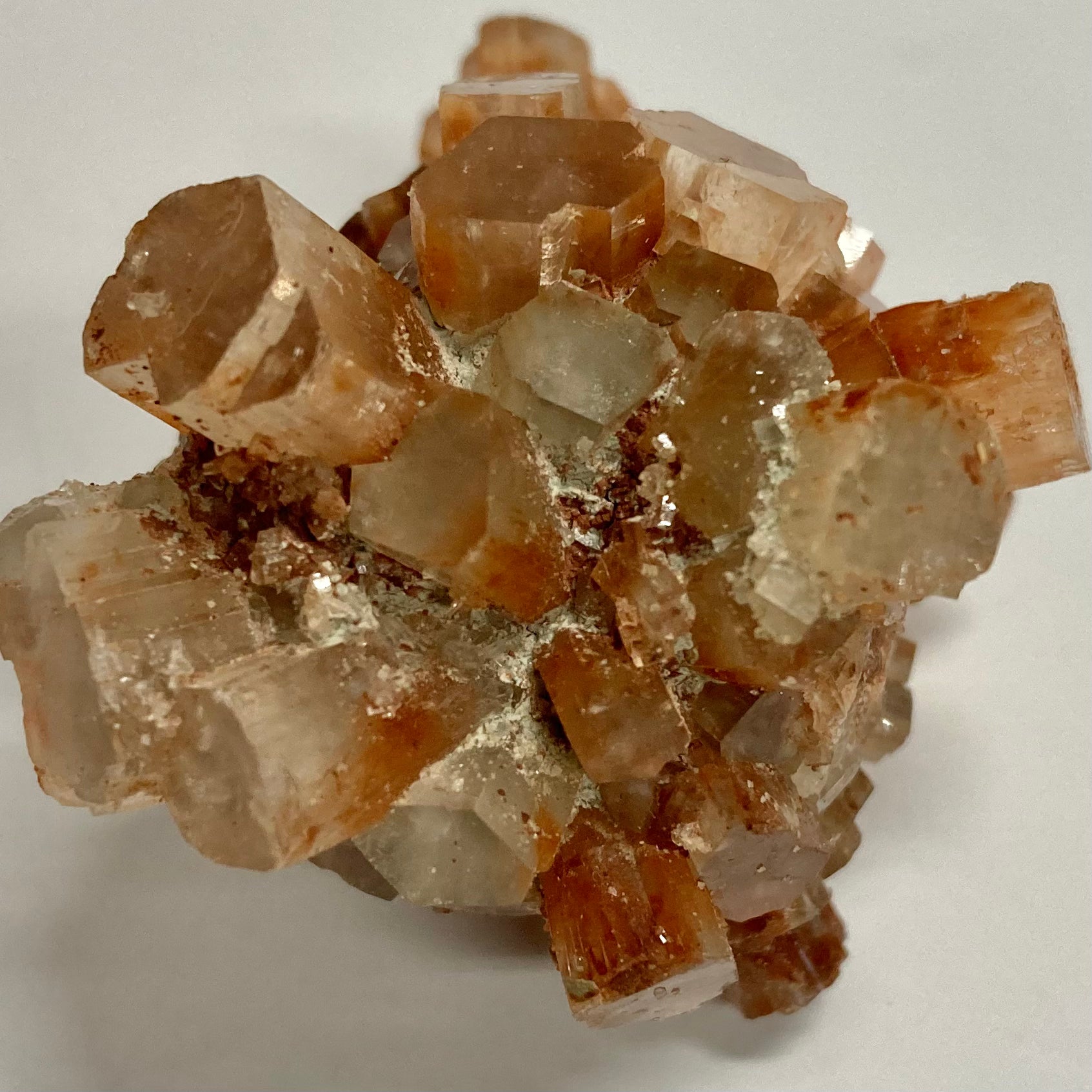 Premium Aragonite Sand - Natural Calcium Carbonate for Aquariums, Reef Tanks & Marine Ecosystems | Ideal for Water Filtration, pH Balancing & Coral Growth