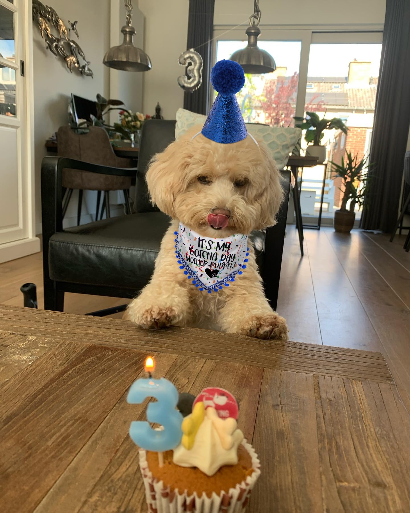 Dog Birthday Hat & Bandana Set - Cute Birthday Outfit for Small, Medium & Large Dogs - Perfect Gift for Dog Lovers - Great for Birthday Parties & Photo Shoots