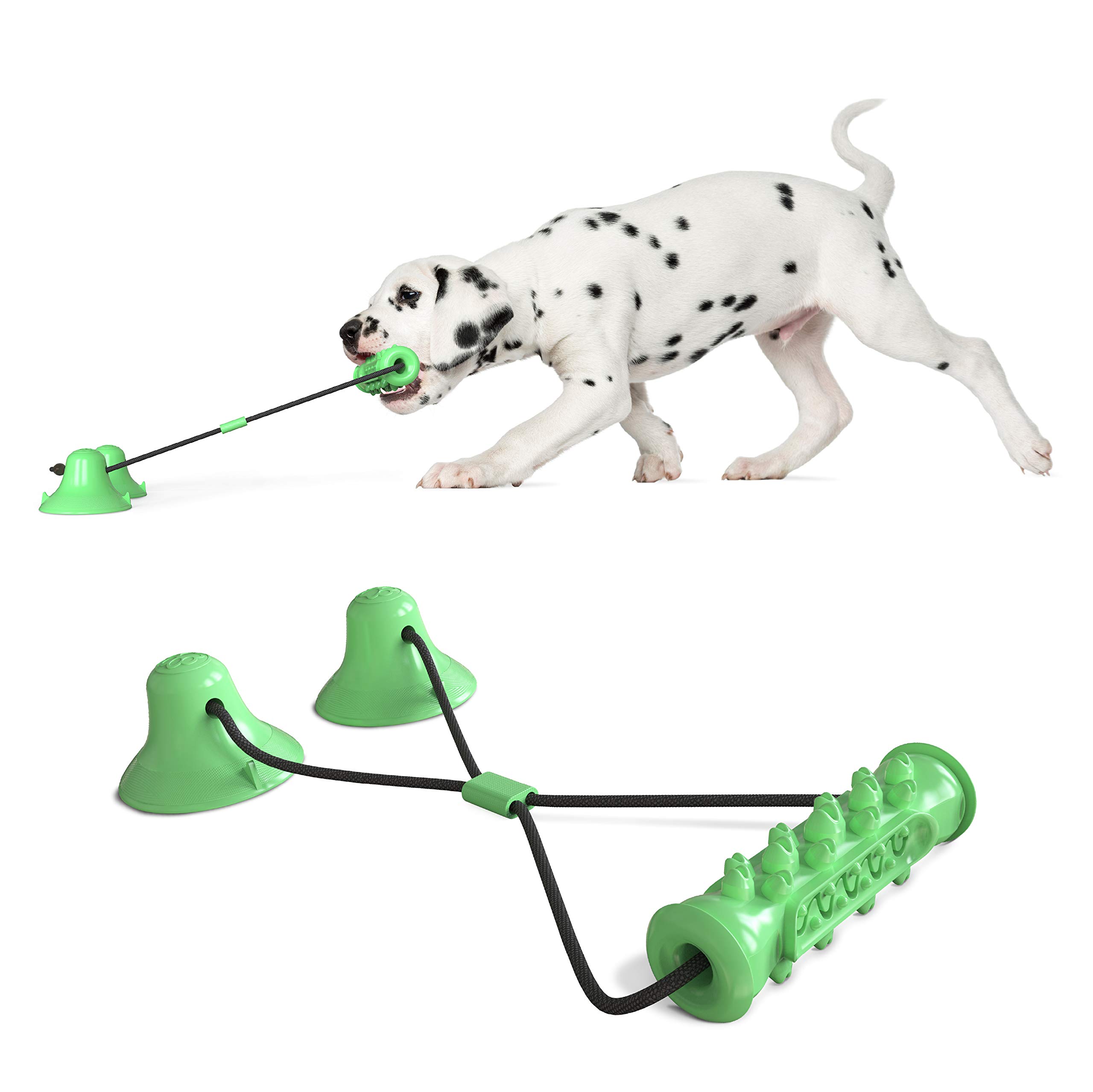 AnyPet Indestructible Dog Chew Toothbrush Toy - Tough Squeaky Teeth Cleaning Chew Toy for Aggressive Chewers & Large Breed Dogs - Medium to Large Size - Perfect for Dental Health & Playtime at Home or Outdoors