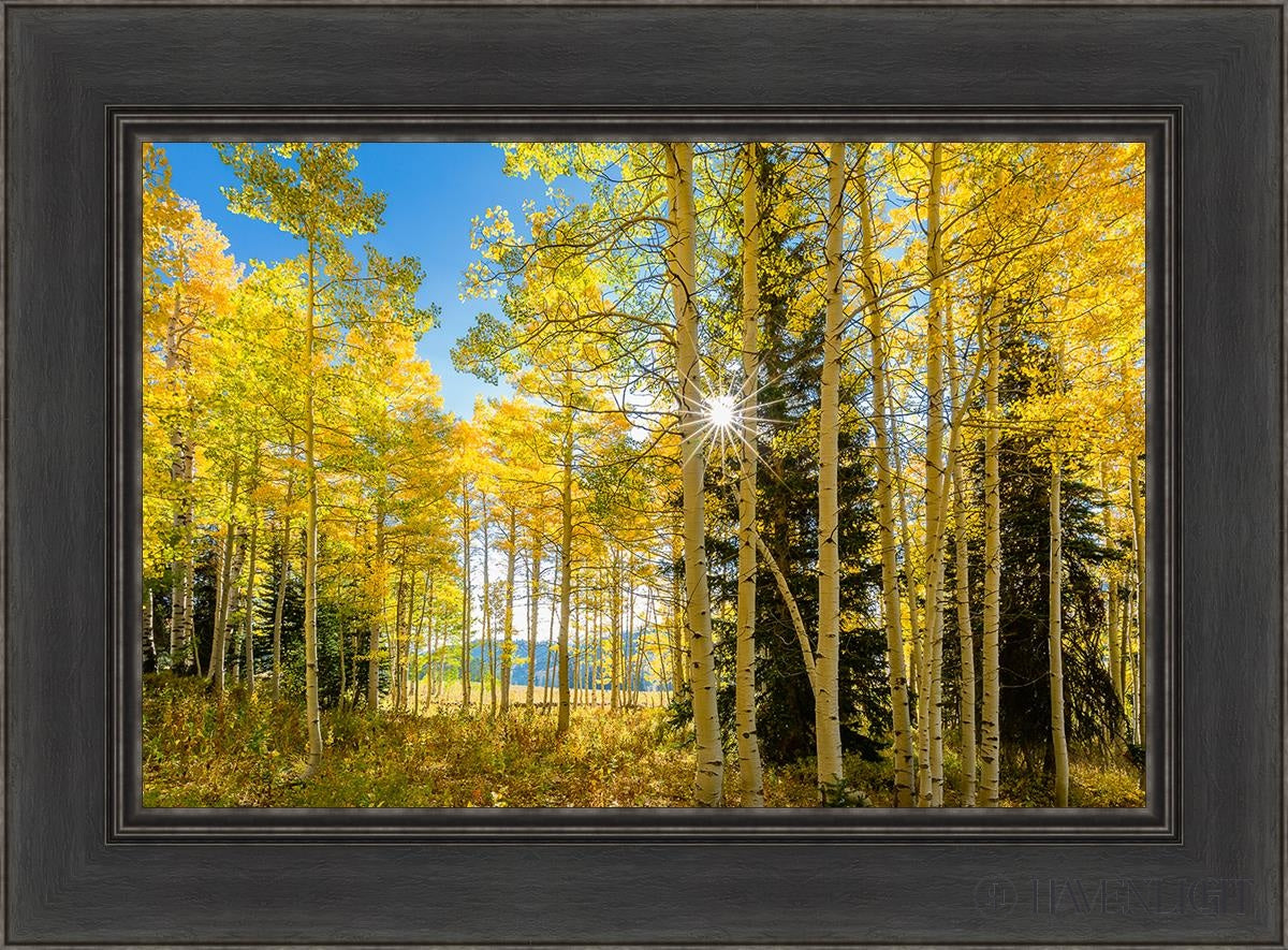 Autumn in the Rocky Mountains - Stunning Fall Foliage at Wasatch National Forest Utah | Perfect for Hiking, Photography & Nature Exploration