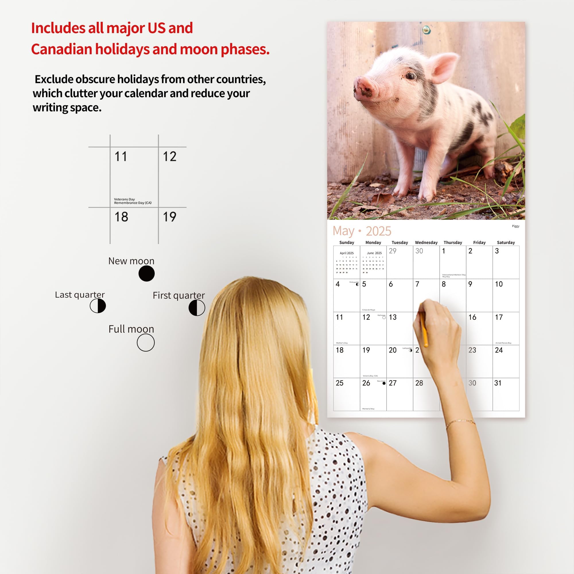 2025-2026 Wall Calendar with Adorable Baby Animals | 12