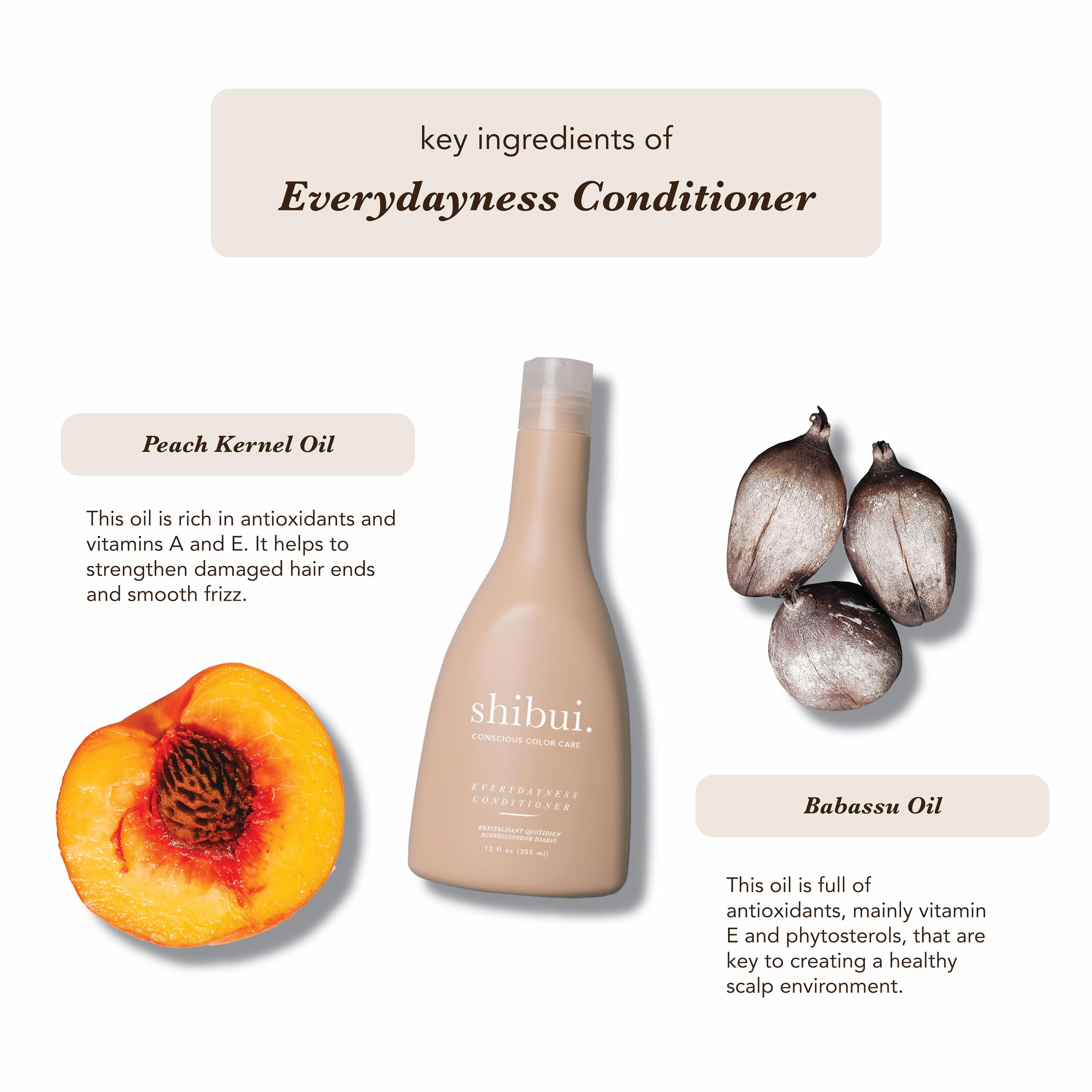 Shibui Everydayness Shampoo and Conditioner Set - Gentle Daily Cleansing for Fine to Medium Hair - Adds Softness & Shine - 12 Fl Oz Each - Perfect for Home, Travel & Salon Use