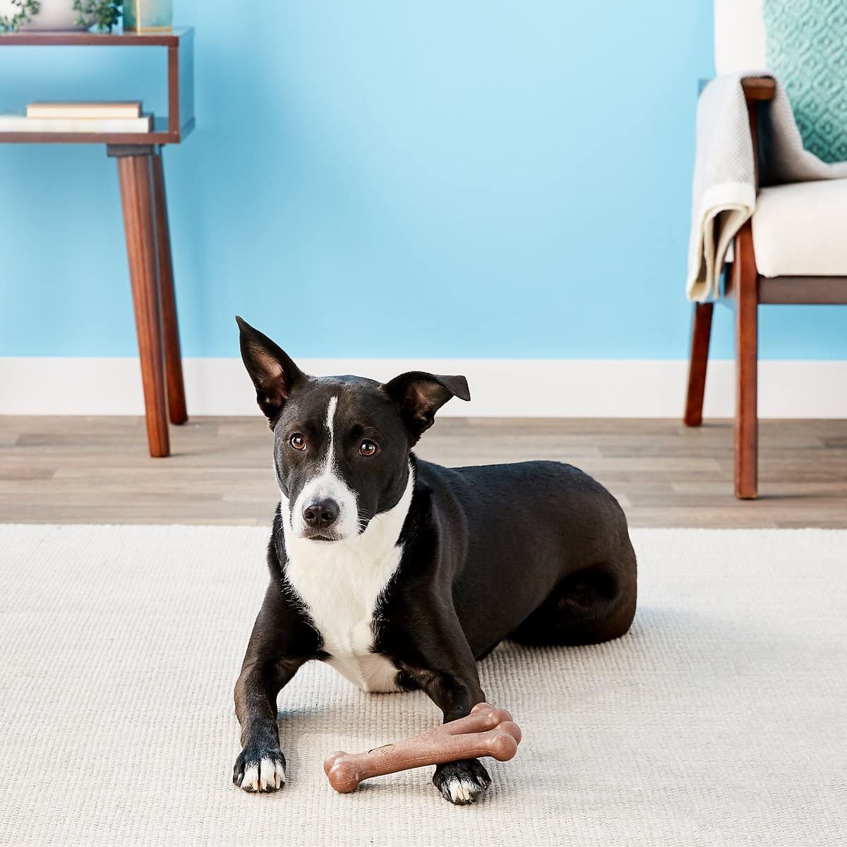 Durable Dog Chew Toy - 7