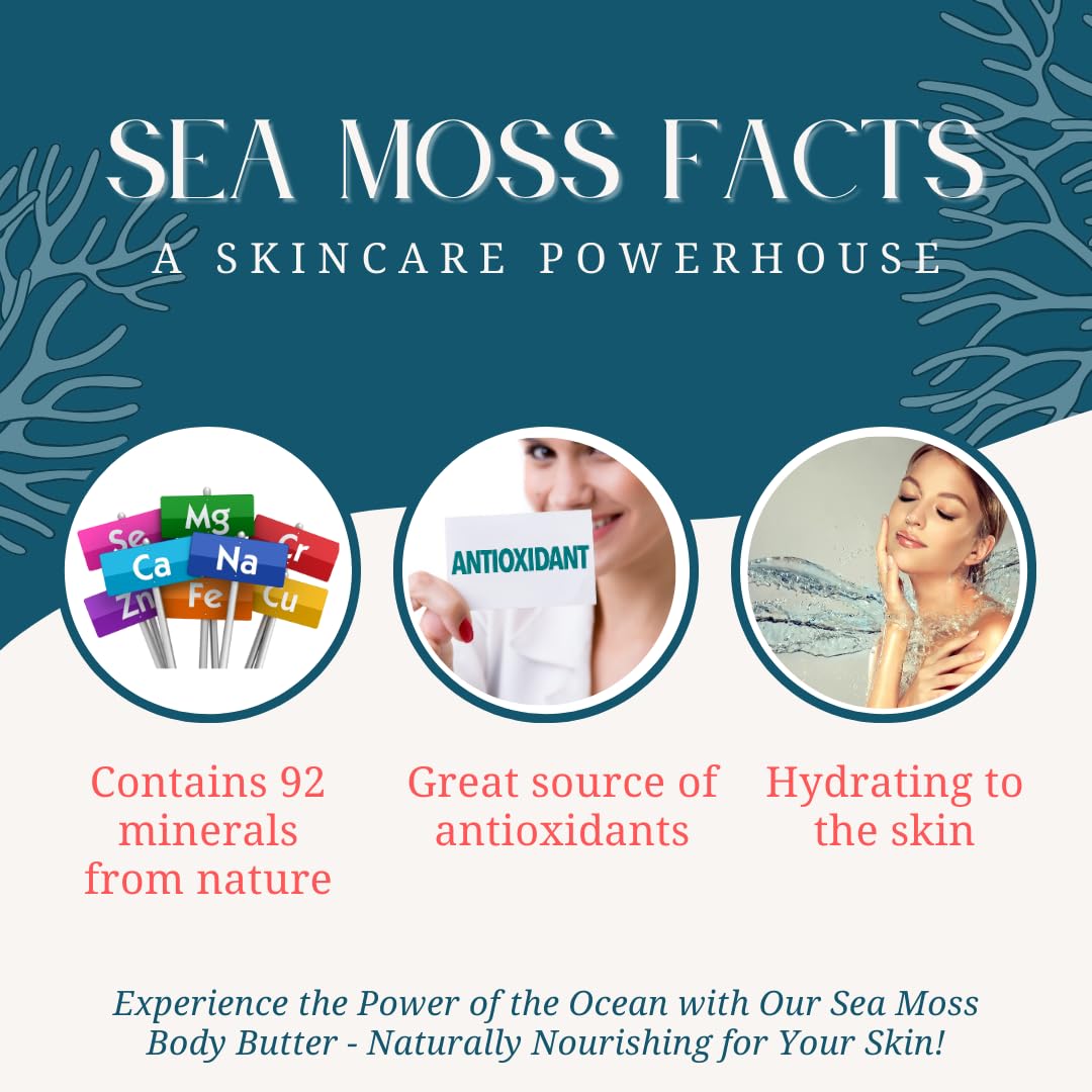 Organic Sea Moss Body Butter - Deep Hydrating Moisturizer for Dry Skin - Vegan & Natural Skincare for Face & Body - Perfect for Daily Use & Post-Workout Recovery
