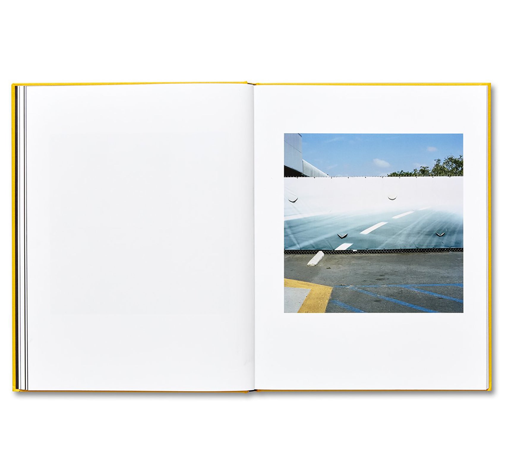 Jason Fulford's Picture Summer on Kodak Film - Special Edition Photography Book | Perfect for Film Enthusiasts & Summer Memories