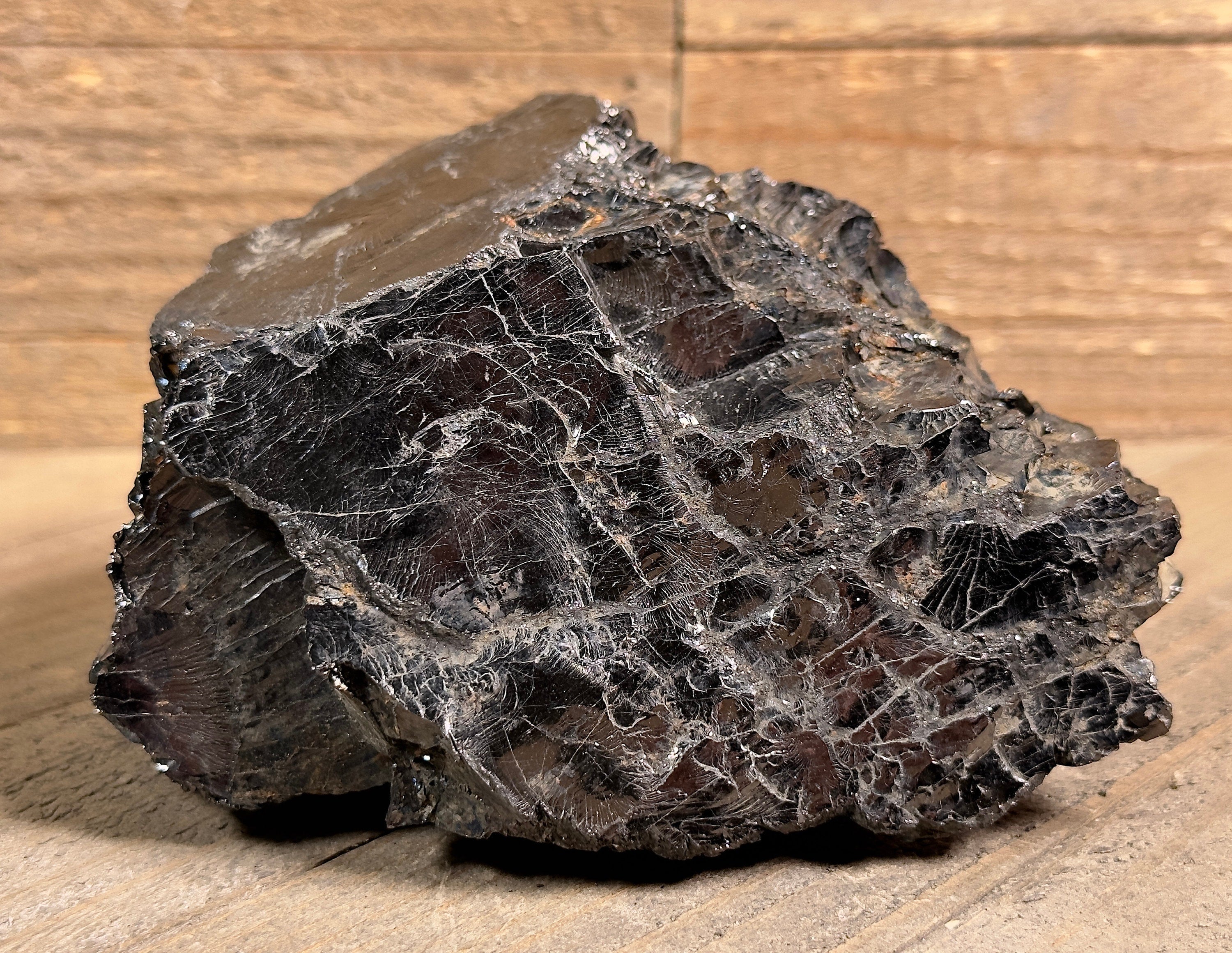 ELITE SHUNGITE Raw Crystal from Colombia - Natural EMF Protection Stone, Healing Mineral for Home Decor & Spiritual Wellness | Perfect for Meditation, Office Desk & Energy Cleansing