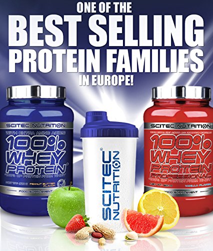 100% Whey Protein Powder - 2.03lb Lemon Cheesecake Flavor | Muscle Recovery & Post-Workout Supplement for Athletes & Fitness Enthusiasts | Perfect for Gym, Home Workouts & Healthy Lifestyle