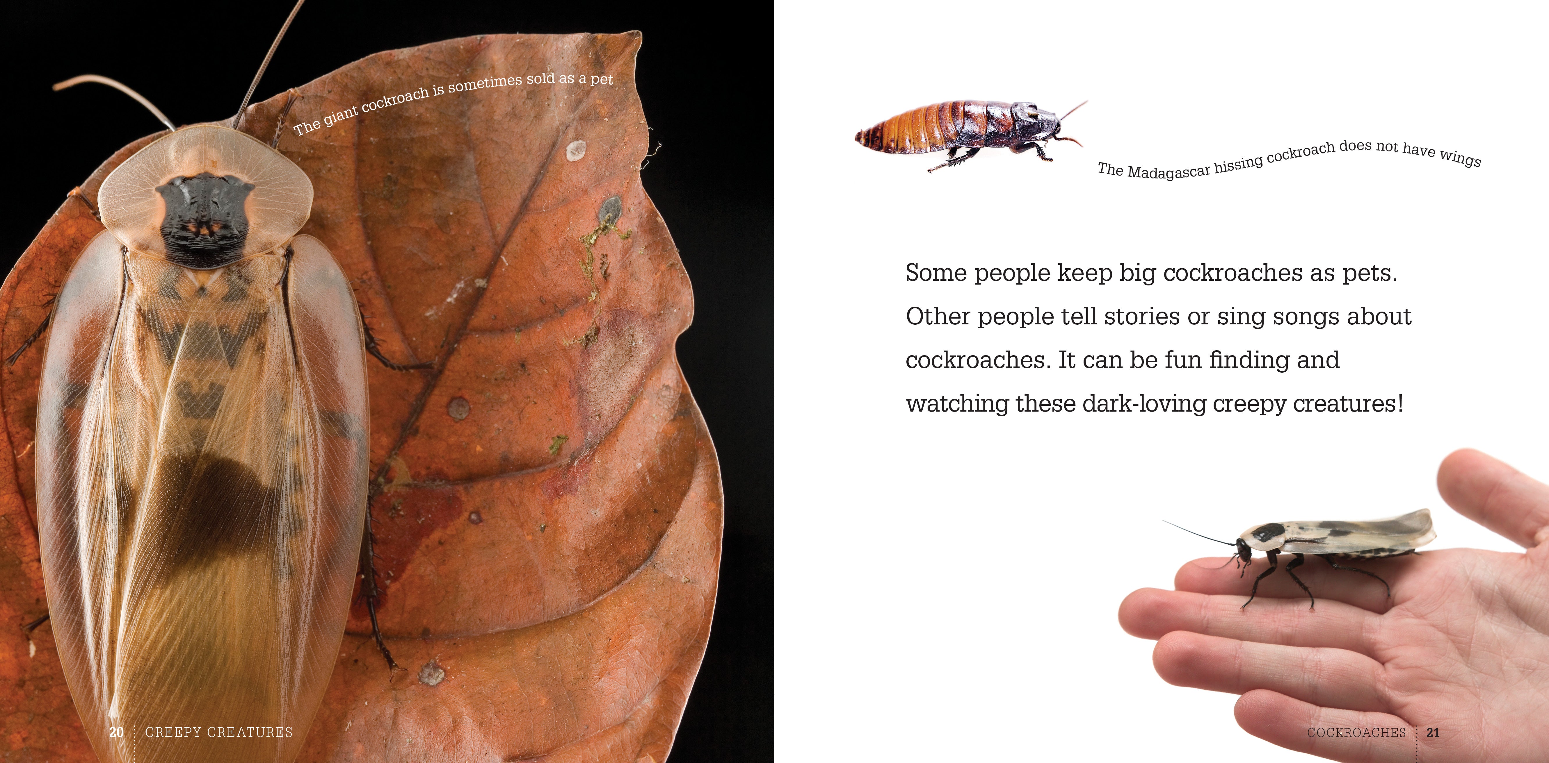 Best Selling Cockroach Control Book - 9781608182329 | Effective Pest Management Guide for Home & Garden