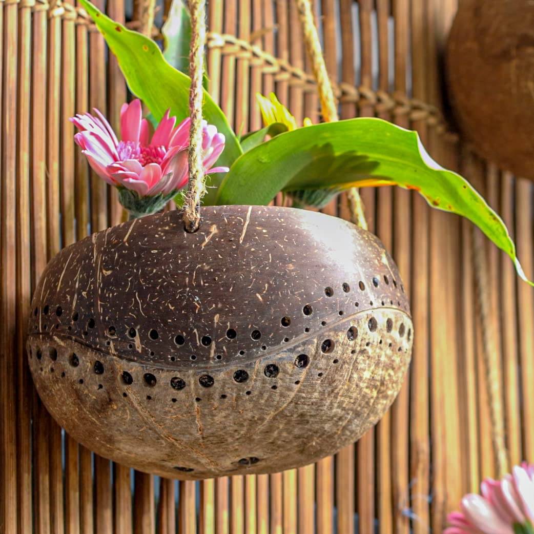 Set of 2 Handcarved Coconut Hanging Planters with Drainage Holes - Natural Two-Tone Design for Succulents, Flowers & Small Plants - Eco-Friendly Indoor/Outdoor Garden Decor - Perfect for Balcony, Patio and Home Décor
