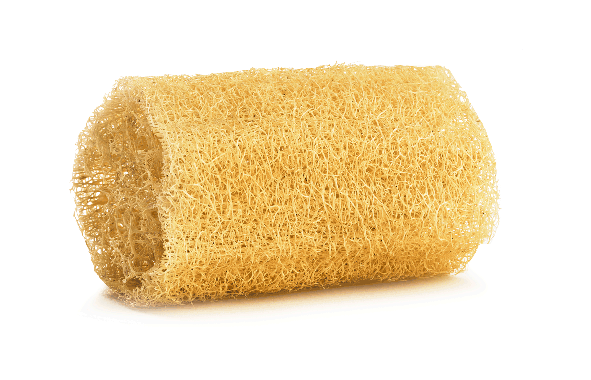 Organic Heirloom Mayan Compostable Loofah Sponges - 6 Pack Eco-Friendly Bath & Kitchen Scrubbers for Sustainable Cleaning