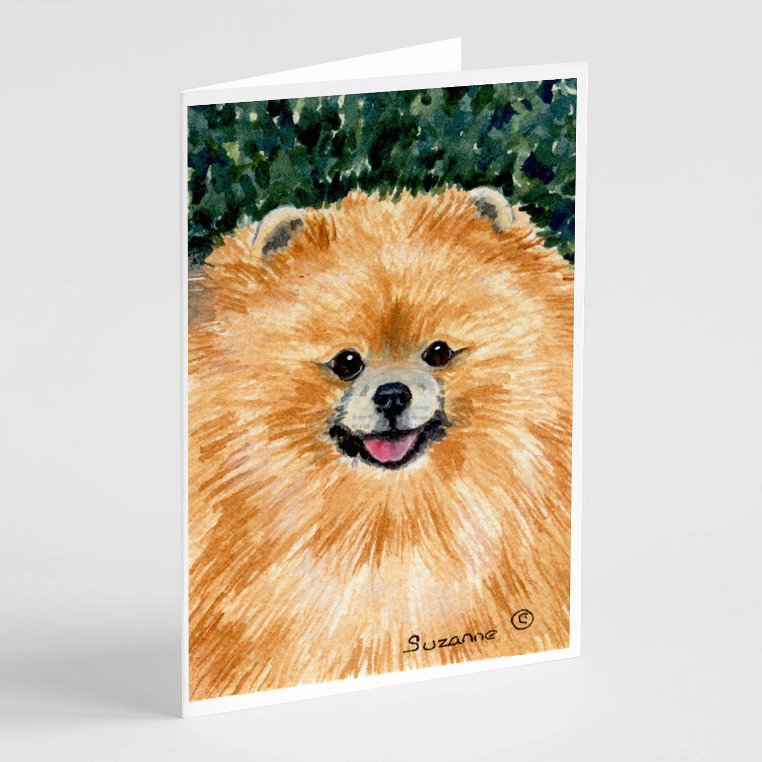 Pomeranian Greeting Cards & Envelopes Set - 8 Blank A7 (5x7) Note Cards with Whimsical Dog Design | Perfect for Birthdays, Thank You Notes & Special Occasions | Caroline's Treasures SS8725GCA7P