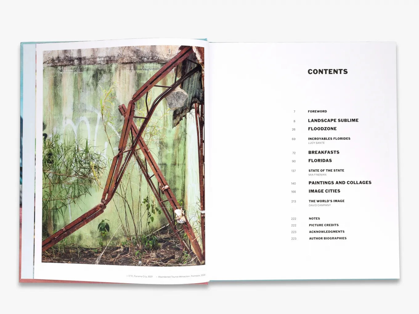 Anastasia Samoylova: Adaptation - Fine Art Photography Book | Contemporary Environmental Portraits | Perfect for Art Collectors & Photography Enthusiasts | Home Decor & Gallery Display