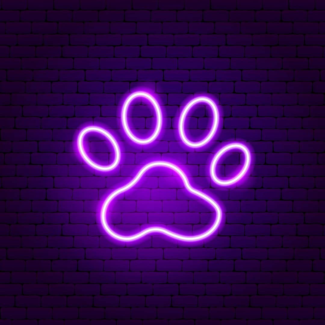 Animal Trail Neon Sign - Vibrant Wall Decor for Bedroom, Home, Wedding & Party | Aesthetic Neon Lights for Bathroom, Kitchen & Room Decor | Perfect for Nighttime Ambiance, Themed Events & Instagrammable Spaces