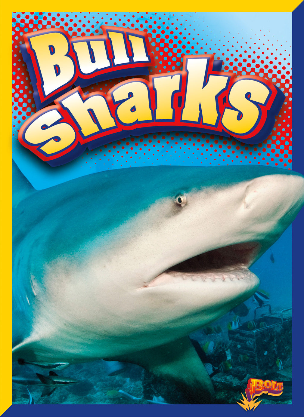 Bull Sharks Book - 9781680728613 | Marine Life Guide, Shark Facts & Ocean Education - Perfect for Students, Teachers & Shark Enthusiasts