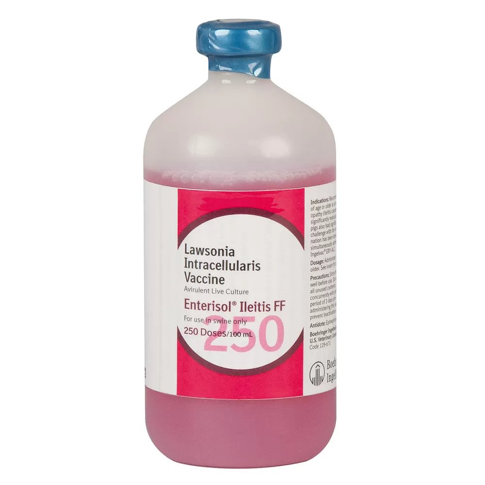 Enterisol® Ileitis Vaccine for Pigs - Effective Prevention & Treatment of Swine Intestinal Disease | Farm Use & Herd Health Management