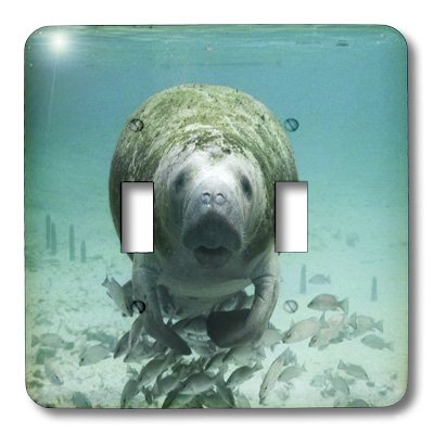 3D Rose Manatee and Fishes Underwater Double Toggle Switch - Decorative Wall Plate Cover for Home, Office, or Kids Room