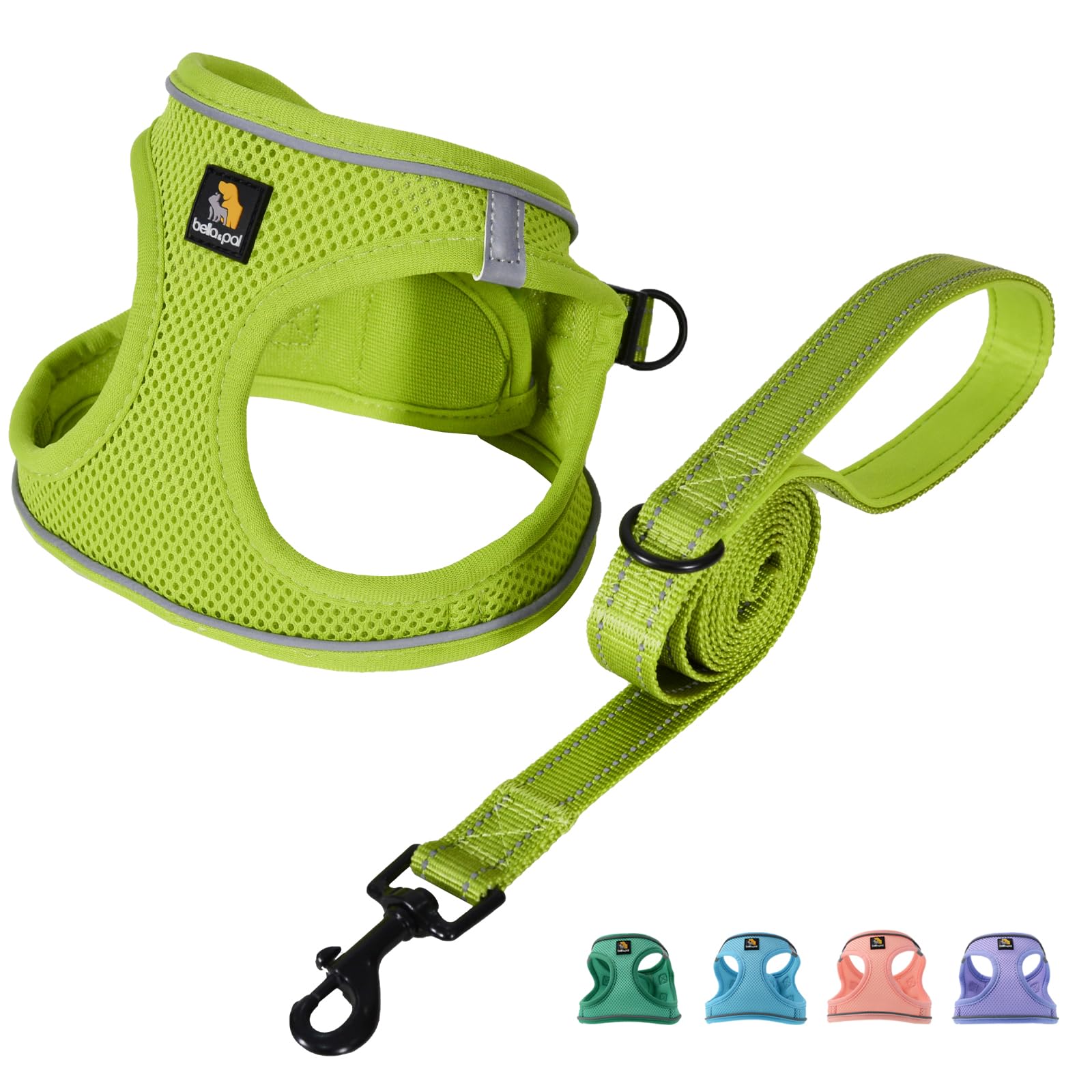 BELLA & PAL Small Dog Harness with Leash Set - No Pull Step-in Vest Harness for Puppies, Cats (XS) - Breathable Air Mesh with Reflective Strips for Safety - Perfect for Walking, Training & Outdoor Adventures