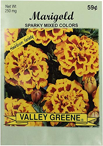 Marigold - Sparky Mixed