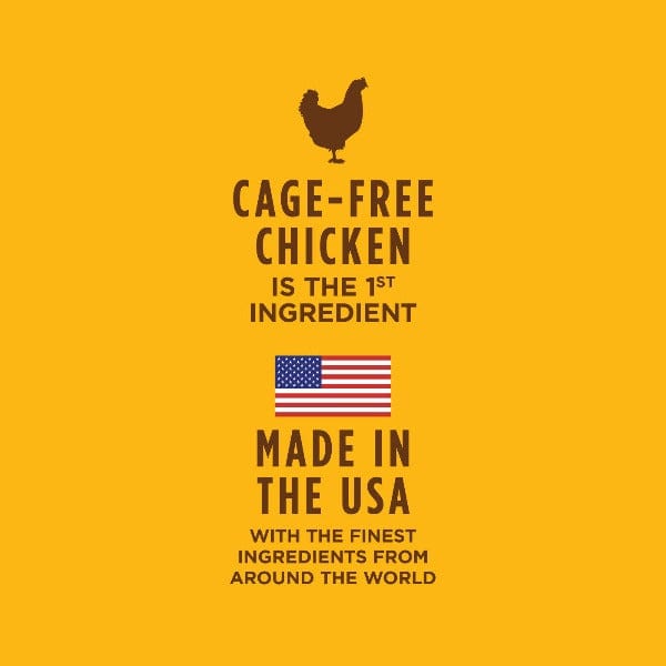 Instinct Healthy Cravings Real Chicken Recipe Grain-Free Wet Dog Food Pouches - High Protein Natural Puppy & Adult Dog Food - Perfect for Travel, Training & Mealtime Toppers