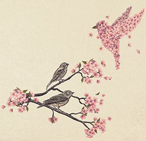 Blossom Bird