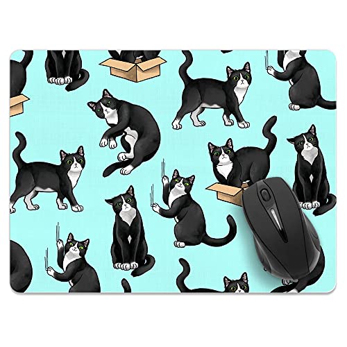 Black White Tuxedo Cat Playful Postures