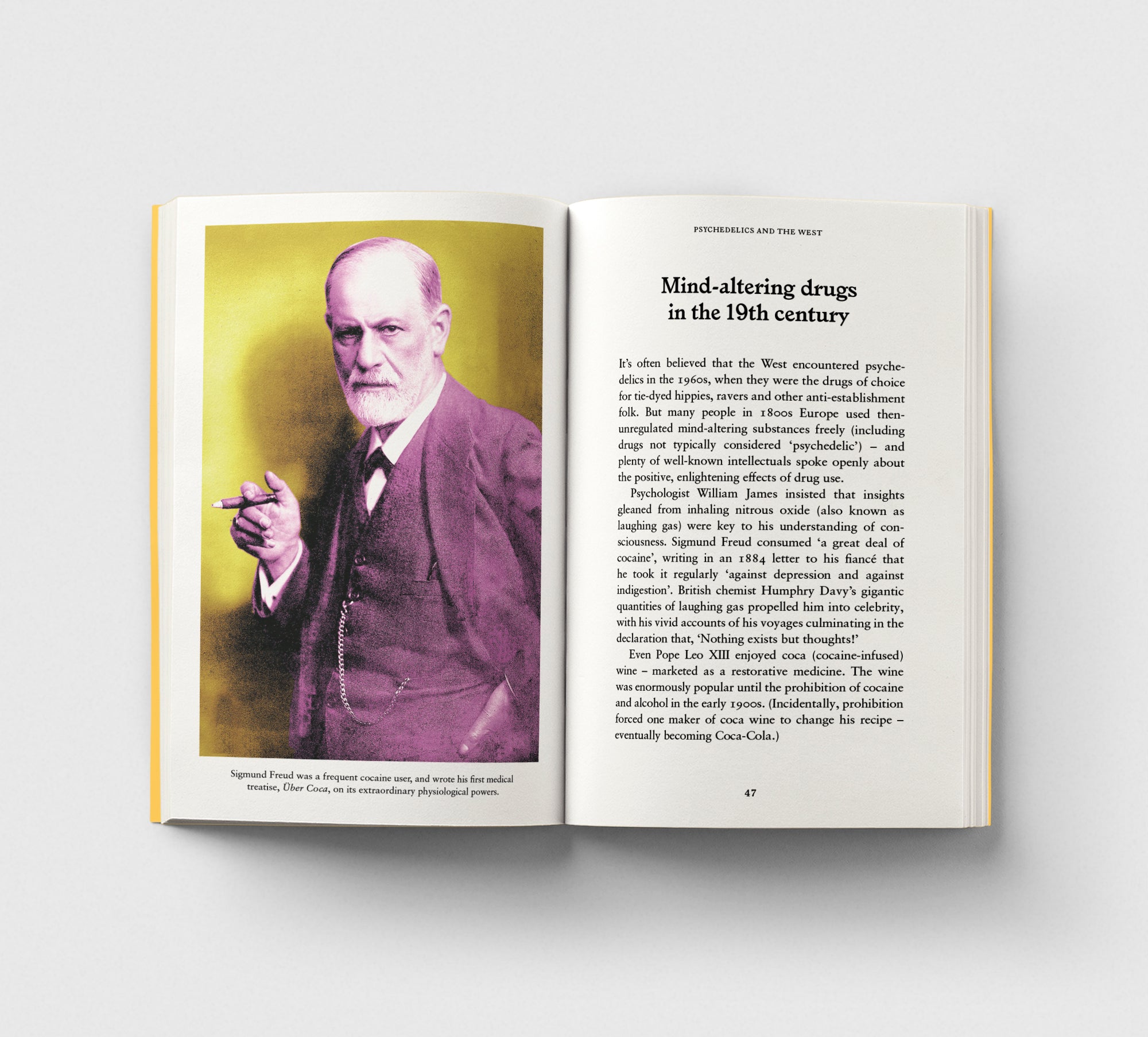 Psychedelics Guide: A Pocket Primer on Psychedelic Substances, Effects & Safety | For Beginners, Therapists & Spiritual Seekers | Use for Personal Growth, Therapy & Mind Exploration