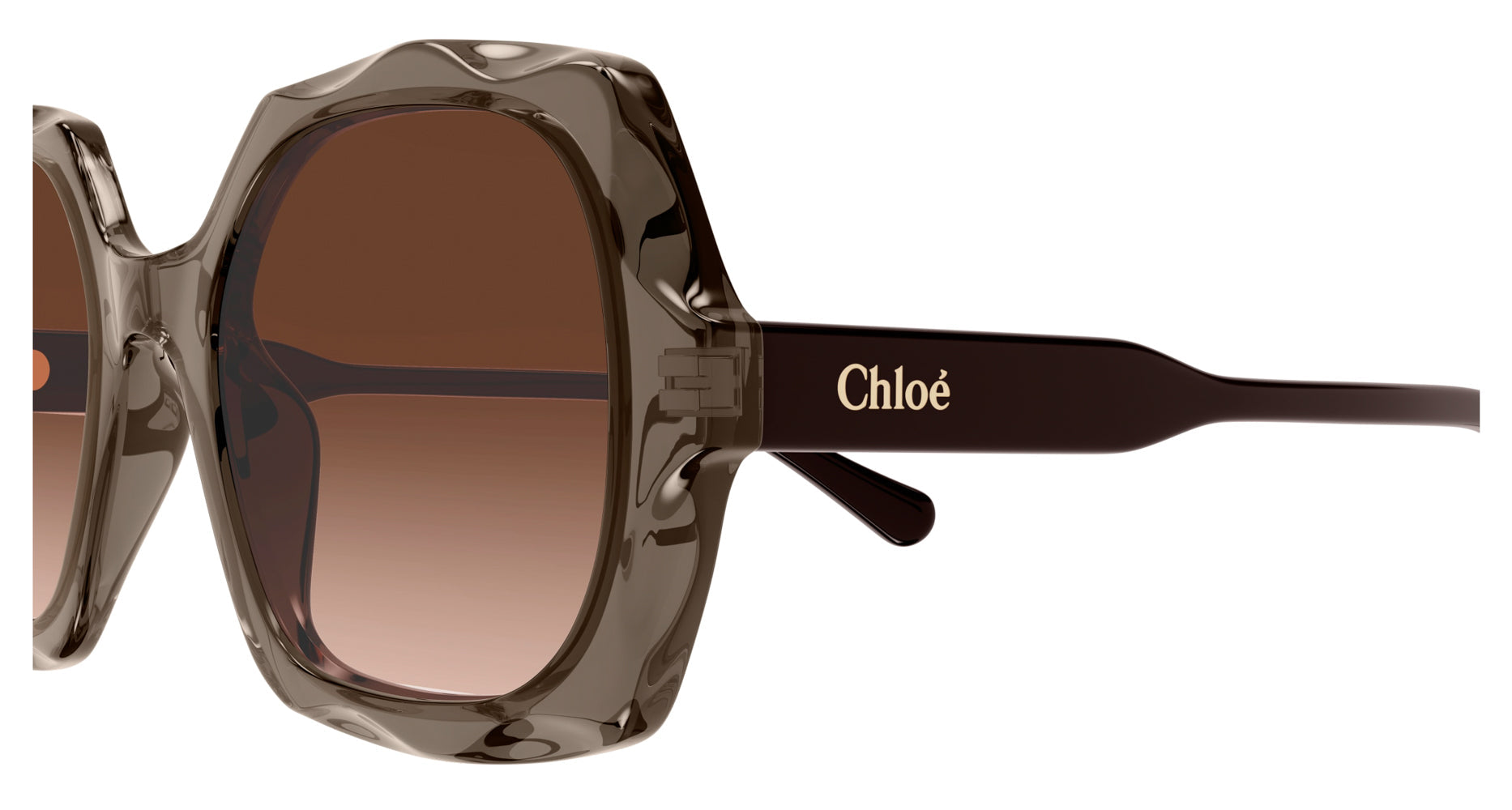 Chloe CH0226S Sunglasses for Women - UV Protection, Polarized, Fashionable - Perfect for Driving, Beach & Outdoor Activities