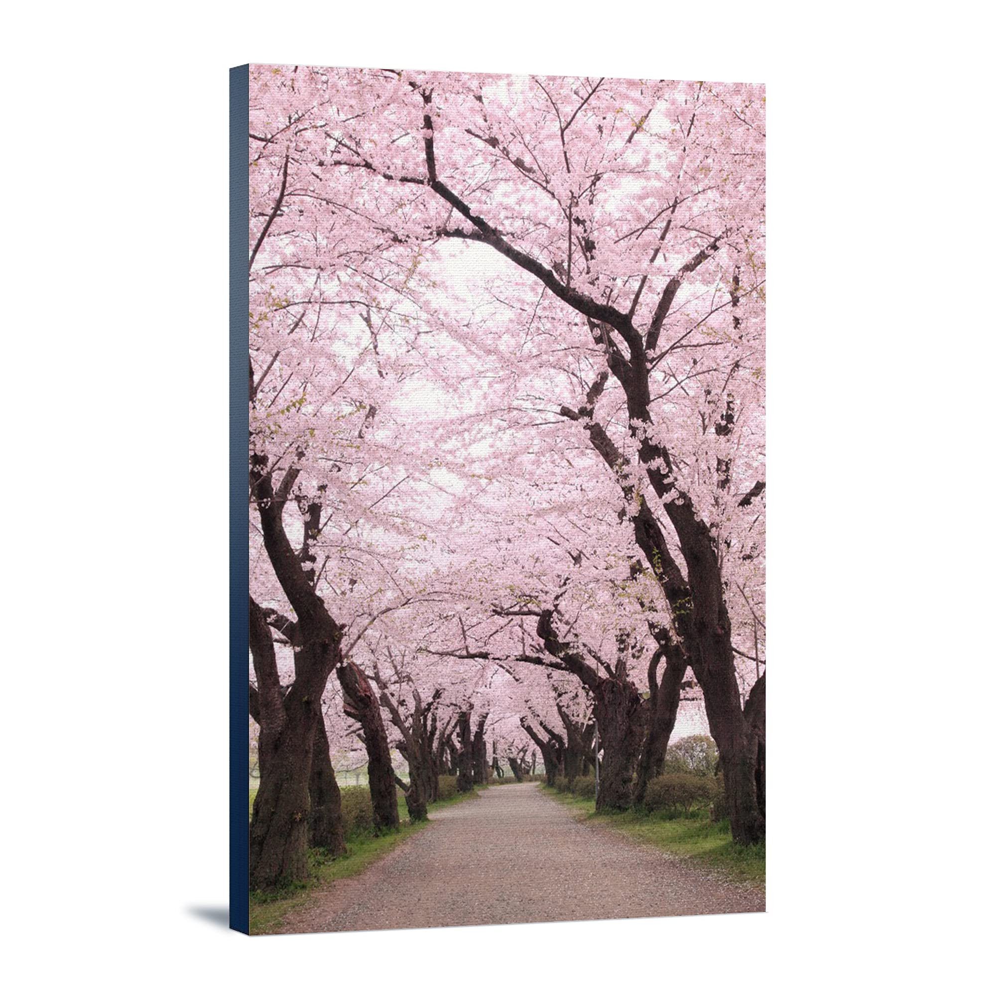 Lantern Press Cherry Blossom Orchard Wall Art - 16x24 Wrapped Canvas Print for Home & Office Decor - Spring Floral Landscape Painting for Living Room, Bedroom, or Gift