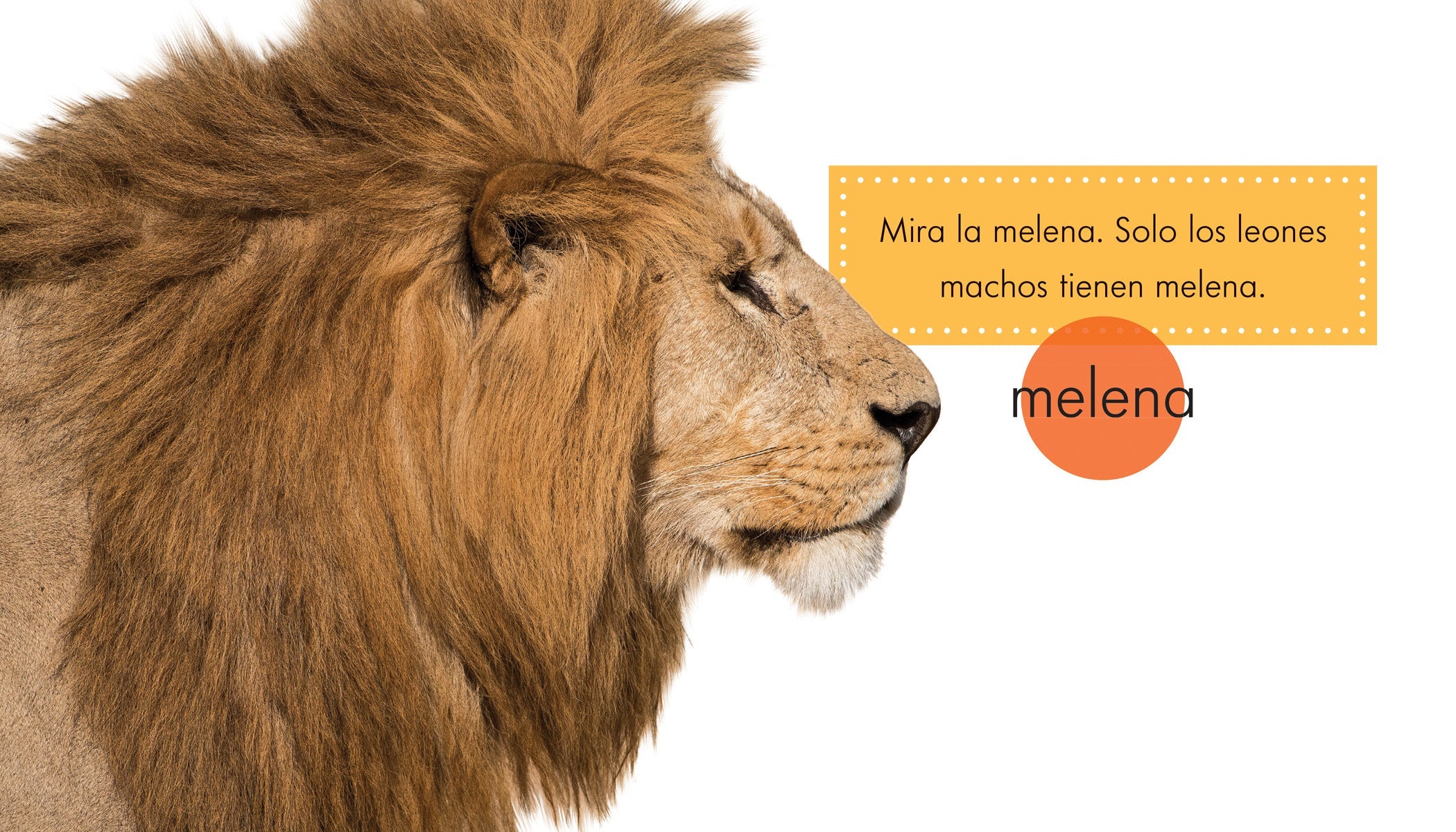 Los Leones - Premium Handcrafted Lion Sculptures for Home Decor & Gifts | Perfect for Living Room, Office & Luxury Gifting