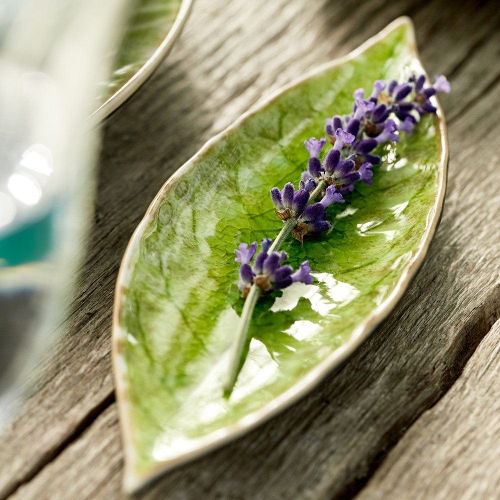 Riviera Leaf Plate 18cm - Green Ceramic Dinner Plate for Salad, Dessert & Appetizers | Eco-Friendly Tableware for Home Dining & Party Serving