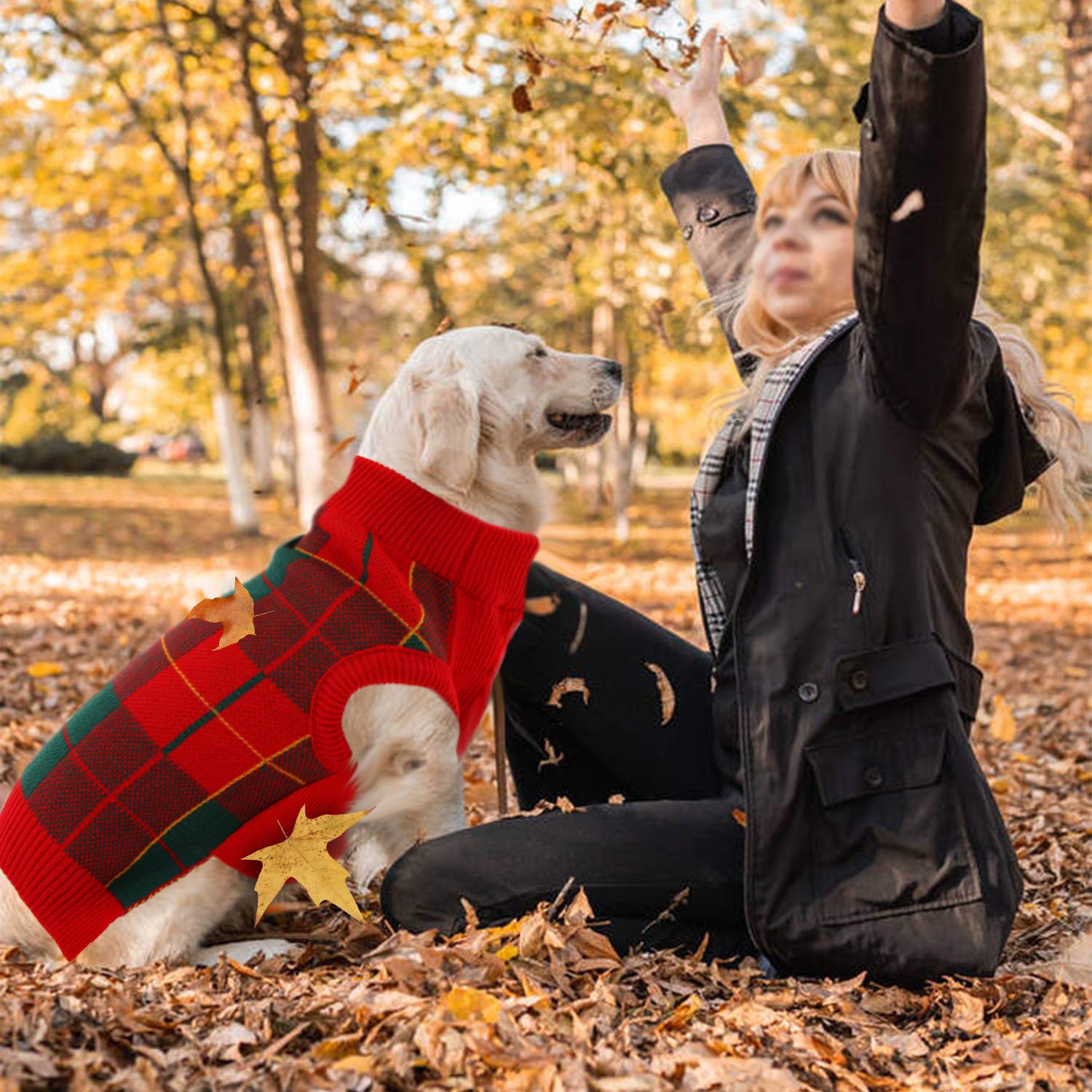 QBLEEV Medium Dog Sweaters for Small Dogs - Warm Winter Knit Pullover Vest for Puppies | Soft Thick Fall & Christmas Pet Clothing | Cozy Dog Sweatshirt for Male & Female Dogs - Perfect for Holiday Photos, Winter Walks & Indoor Comfort