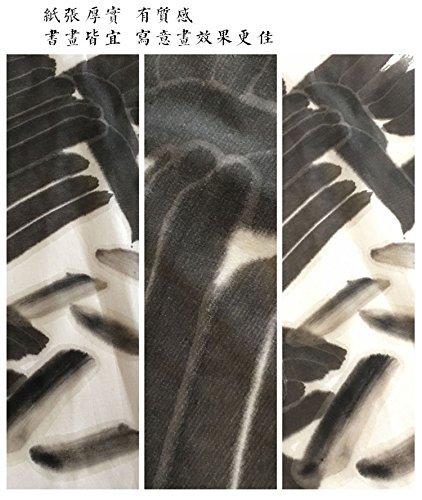 Premium Handmade Xuan Paper for Chinese & Japanese Calligraphy - Traditional Raw Sumi Rice Paper 54.3