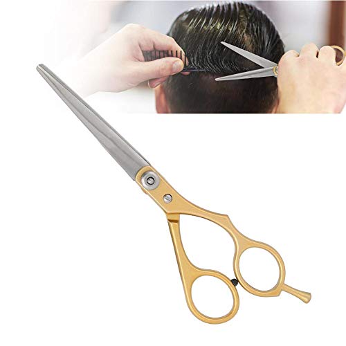 Professional Stainless Steel Hair Cutting Scissors Set - Barber & Salon Shears Kit with Thinning & Texturizing Scissors for Home & Professional Use - Perfect for Styling, Trimming & Hairdressing