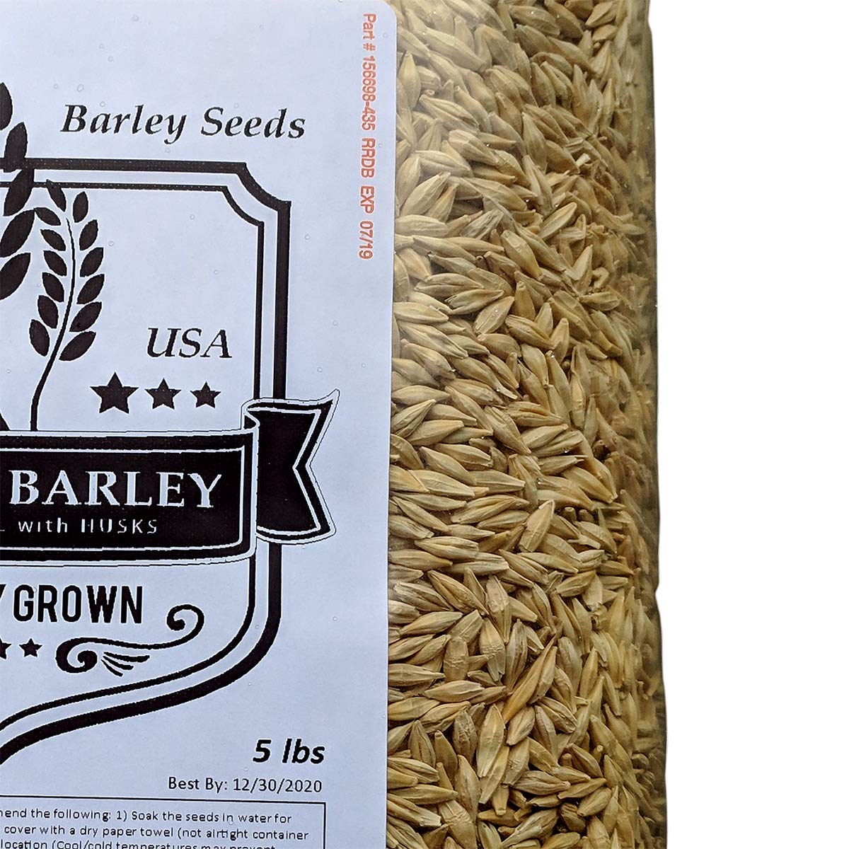 Organic Barley Seeds - 5 lbs Whole Grain for Juicing, Brewing Beer, Malt Making | Healthy Superfood for Smoothies, Baking & Home Brewing