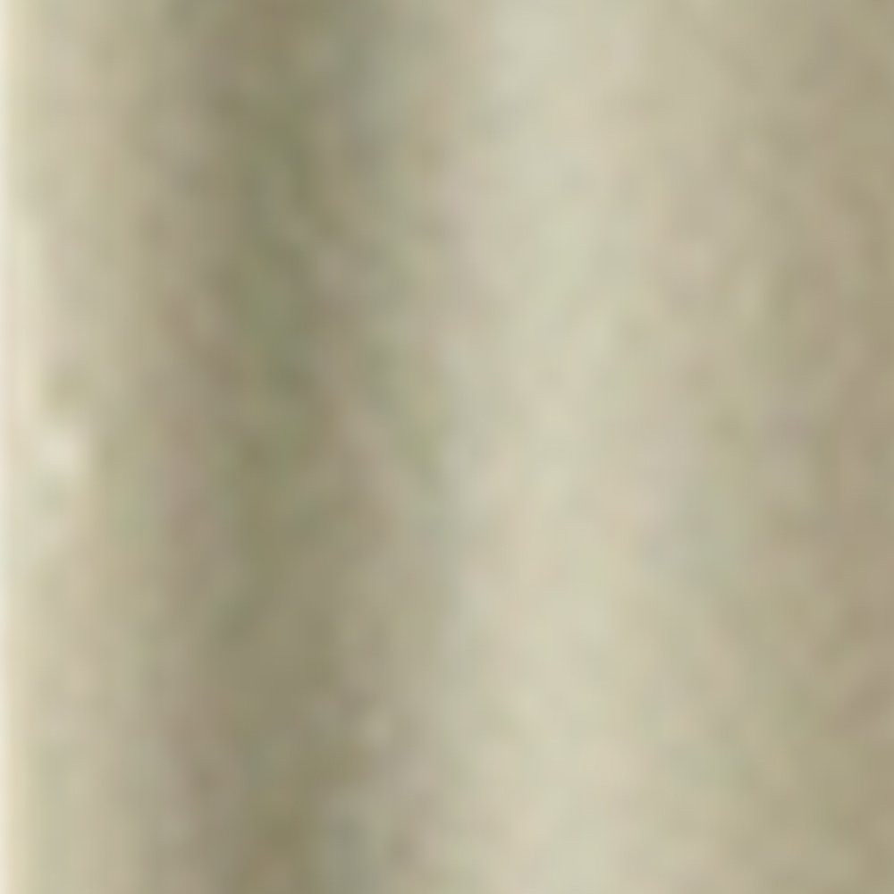 PCP Adjustable Lightweight Aluminum Cane with Foam Grip & Round Crook Handle, Silver (Medium Grip) - Ideal for Seniors and Mobility Support