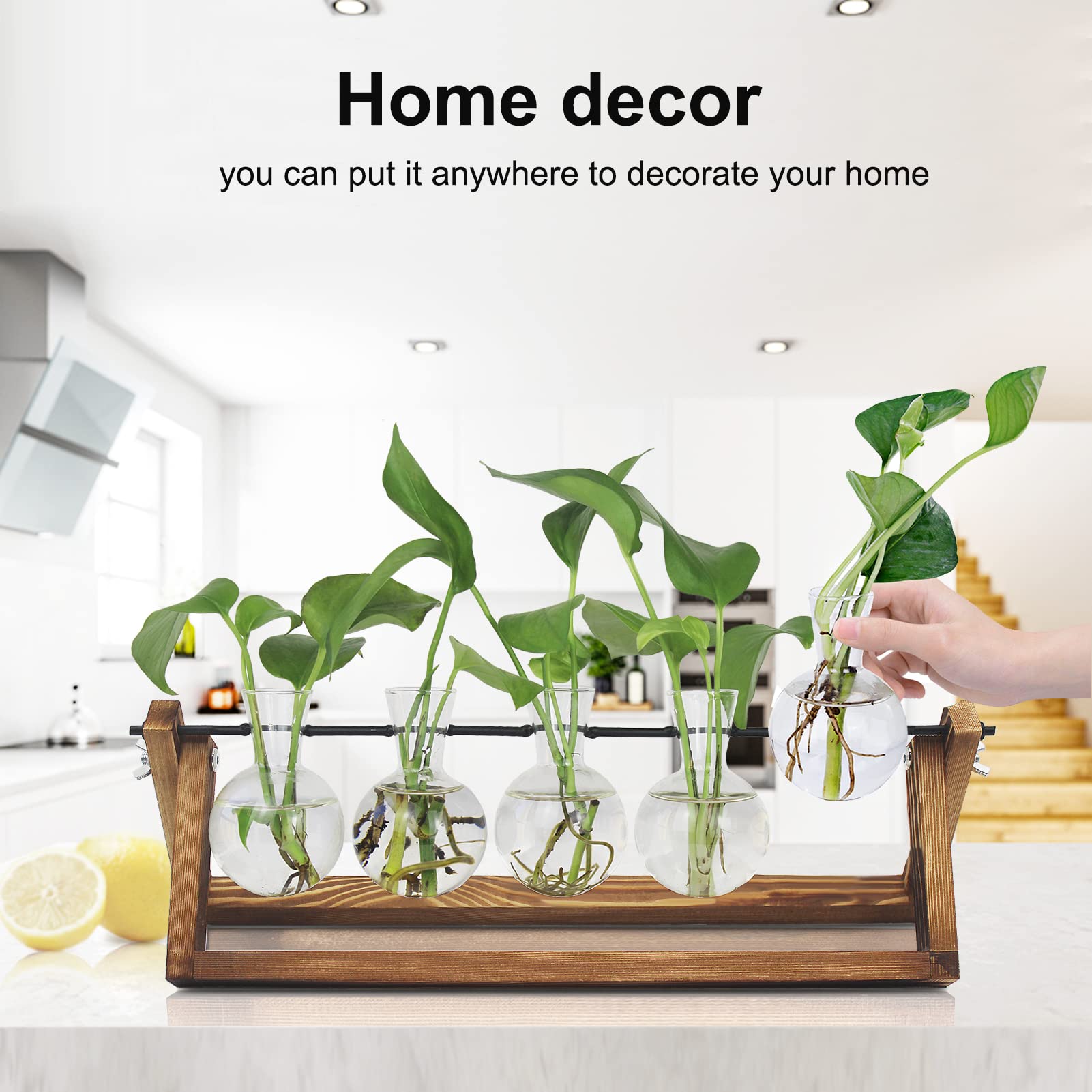 Plant Propagation Station - 5 Bulb Glass Vases for Water Rooting Plants | Unique Gardening Gifts for Women, Plant Lovers, Mom & Best Friend | Perfect for Home Decor, Indoor Gardening & Gift Giving