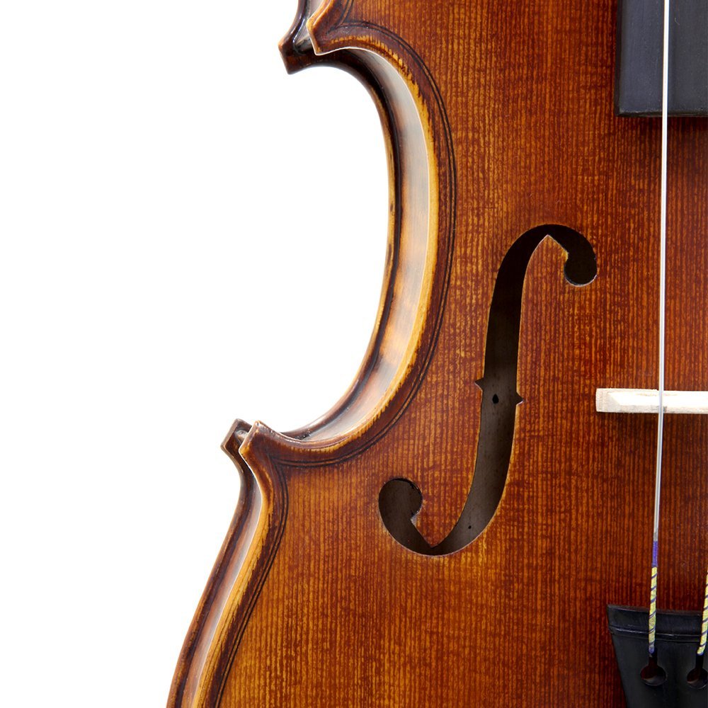 Premium 1/2 Size Hand Carved Ebony Violin Outfit - PTVNSH100 with Case, Bow, Strings, Tuner, Mute & Rosin - Perfect for Students, Beginners & Professional Practice at Home or School