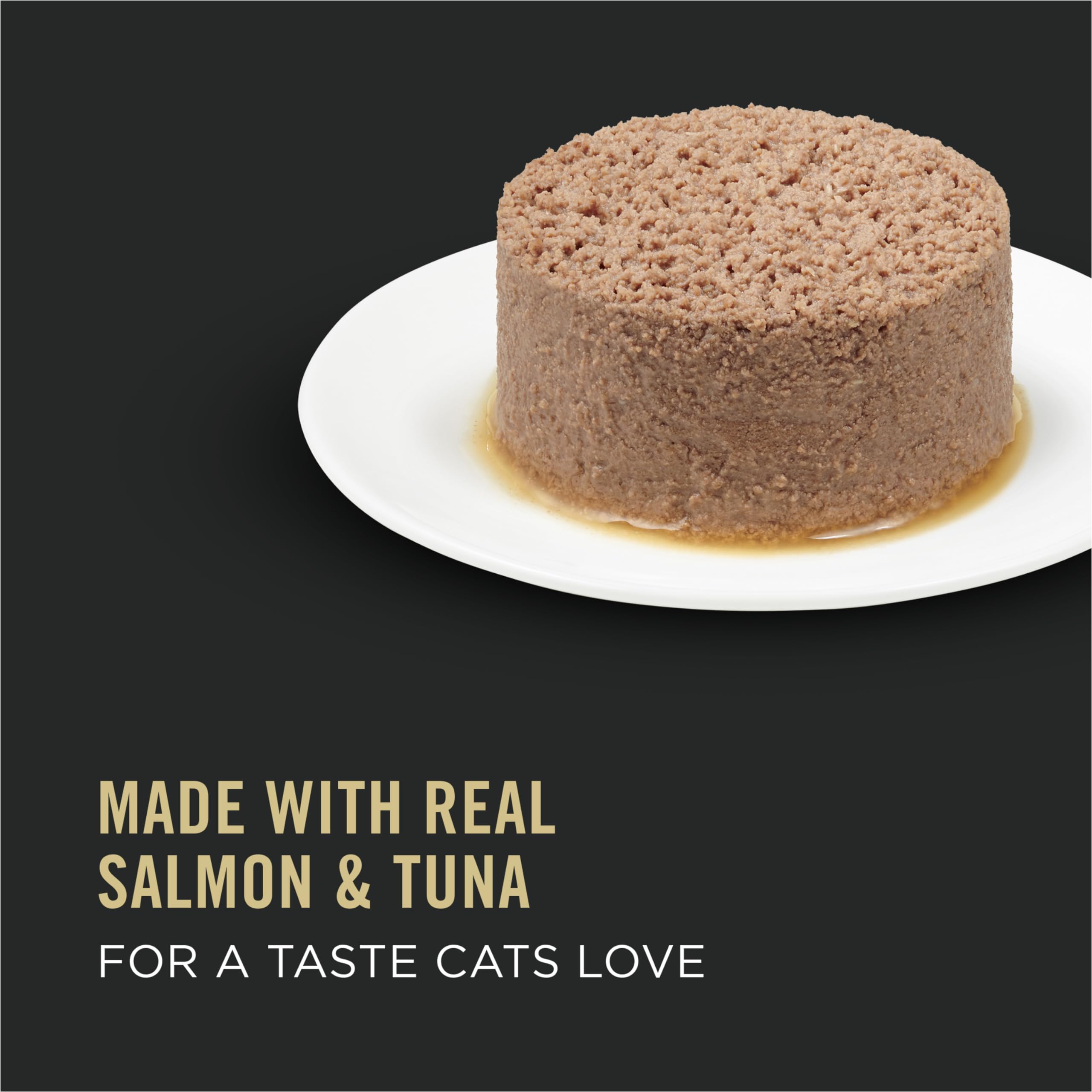 Premium Senior Wet Cat Food for Older Cats - Salmon & Tuna Recipe, 85g (24 Pack) | High-Protein, Easy-to-Digest Meal for Aging Felines - Perfect for Picky Eaters & Cats with Dental Issues
